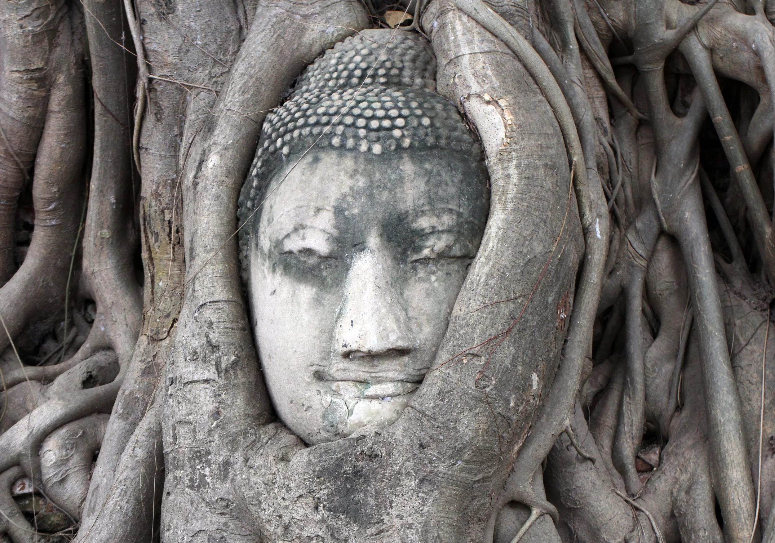 AYUTTHAYA - PASSION DAY - SOM (267).JPG