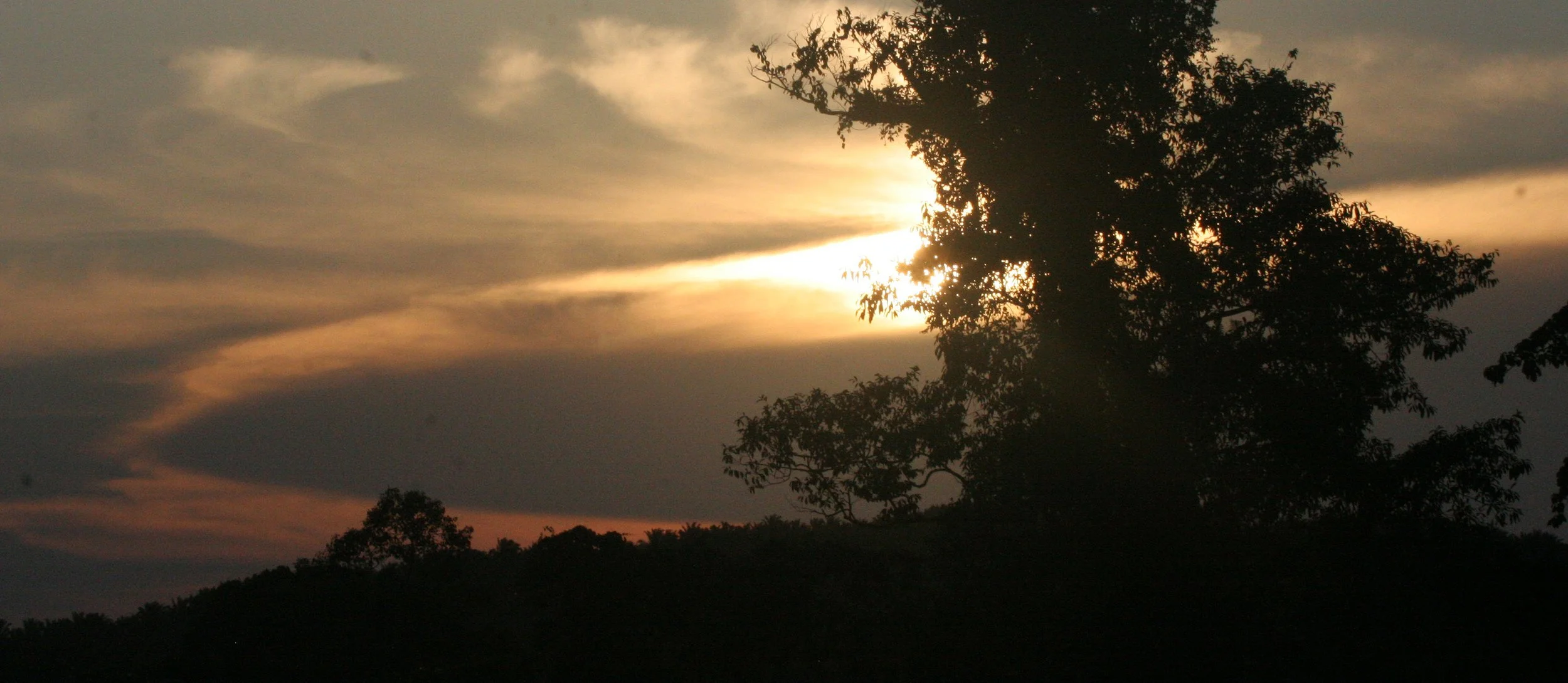 TABIN WILDLIFE RESERVE BORNEO - SUNSET (2).JPG