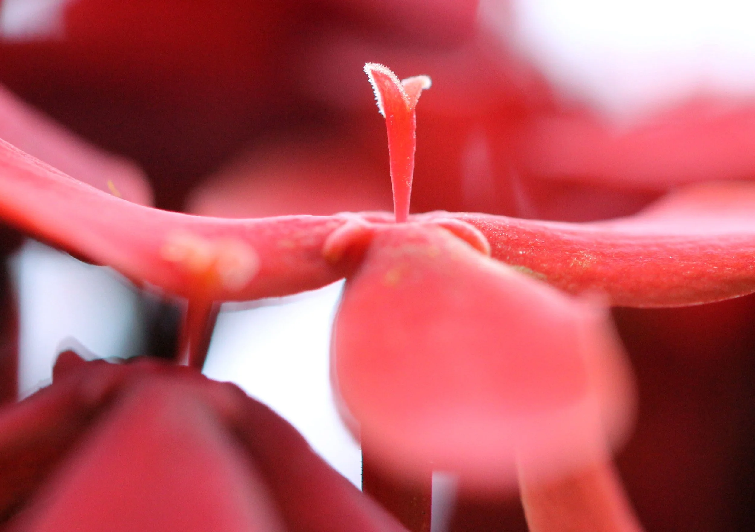 2013 Cha'am and Petchaburi with Family & Friends (3).JPG