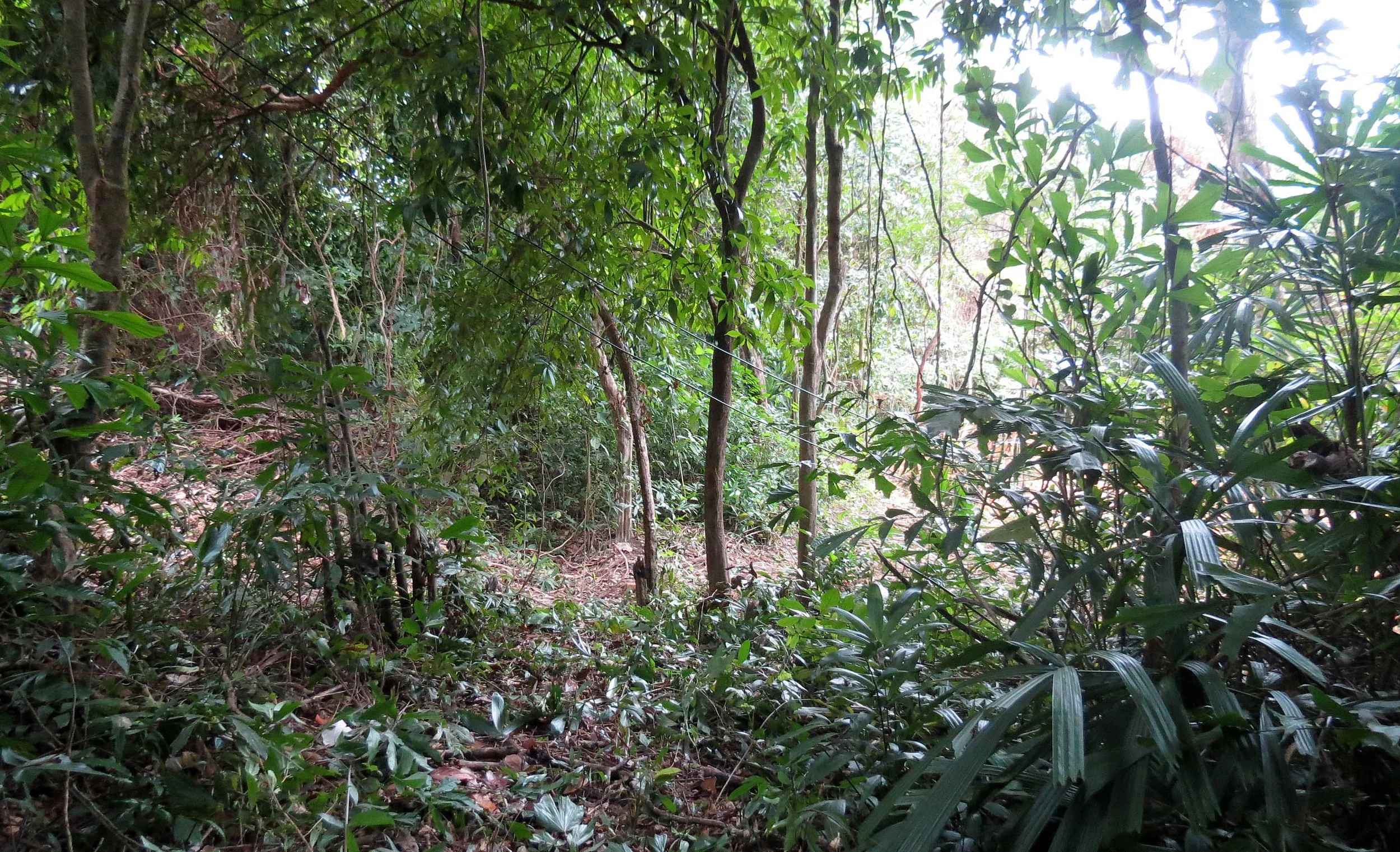 2014 Koh Lanta Build (140).JPG