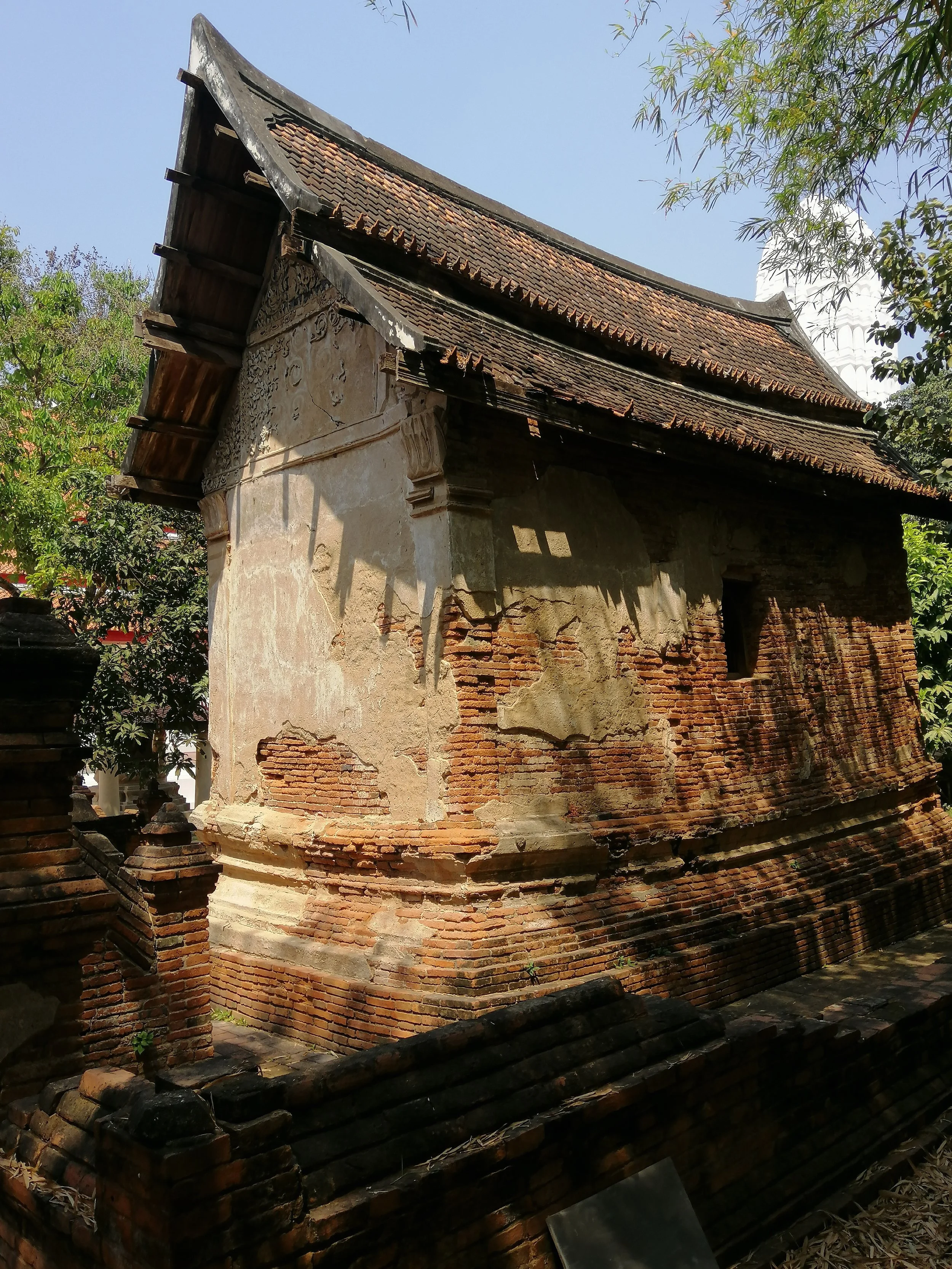 2021 Ayutthaya Trip with Cokie to see Bats too (22).jpg