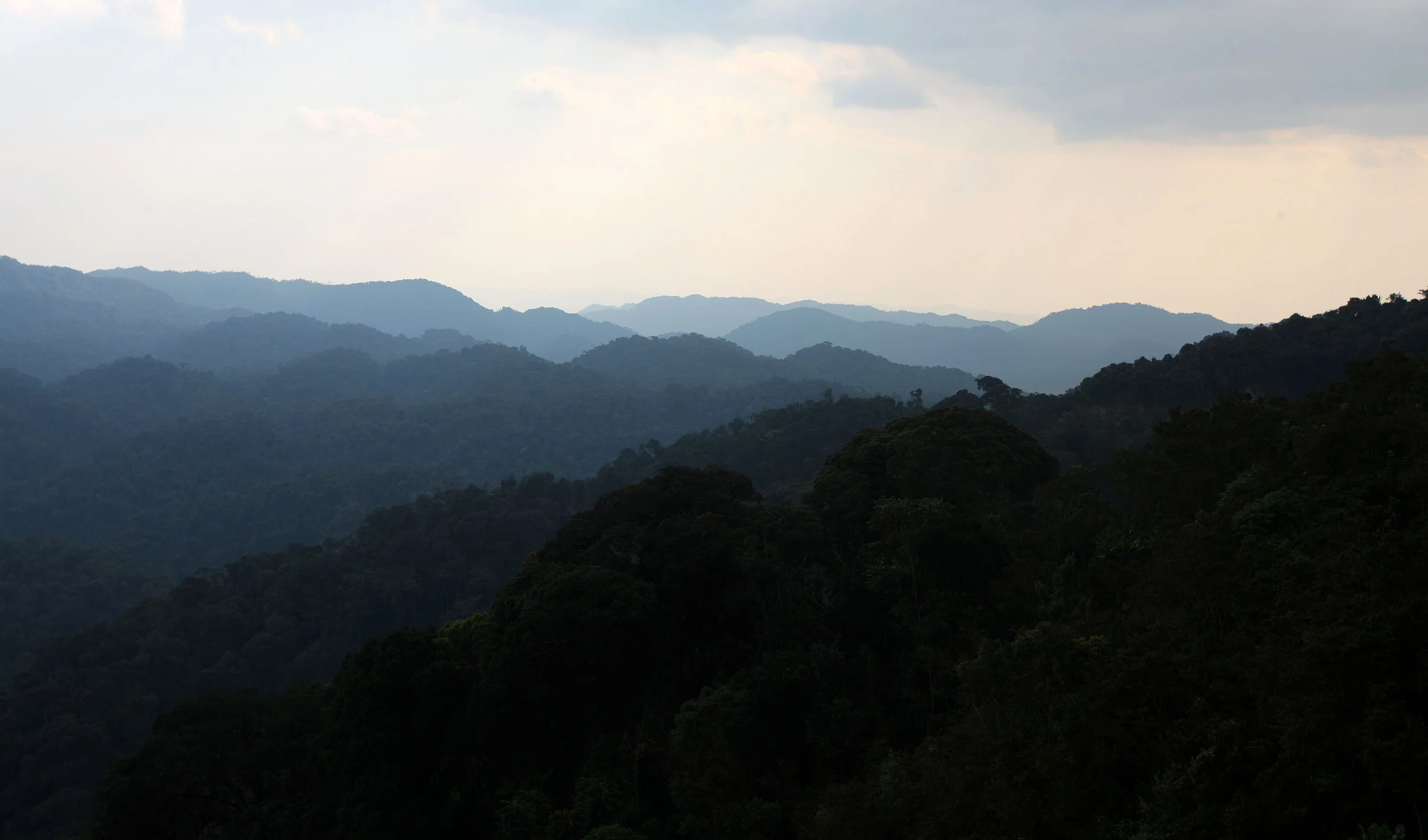 NYUNGWE NATIONAL PARK RWANDA 2 (34).JPG
