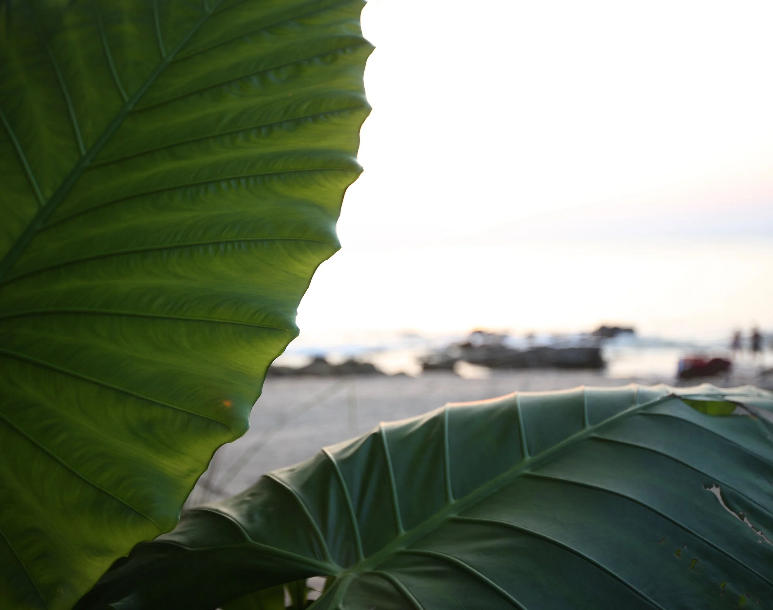 2015 Koh Lanta Build and Fun (119).JPG