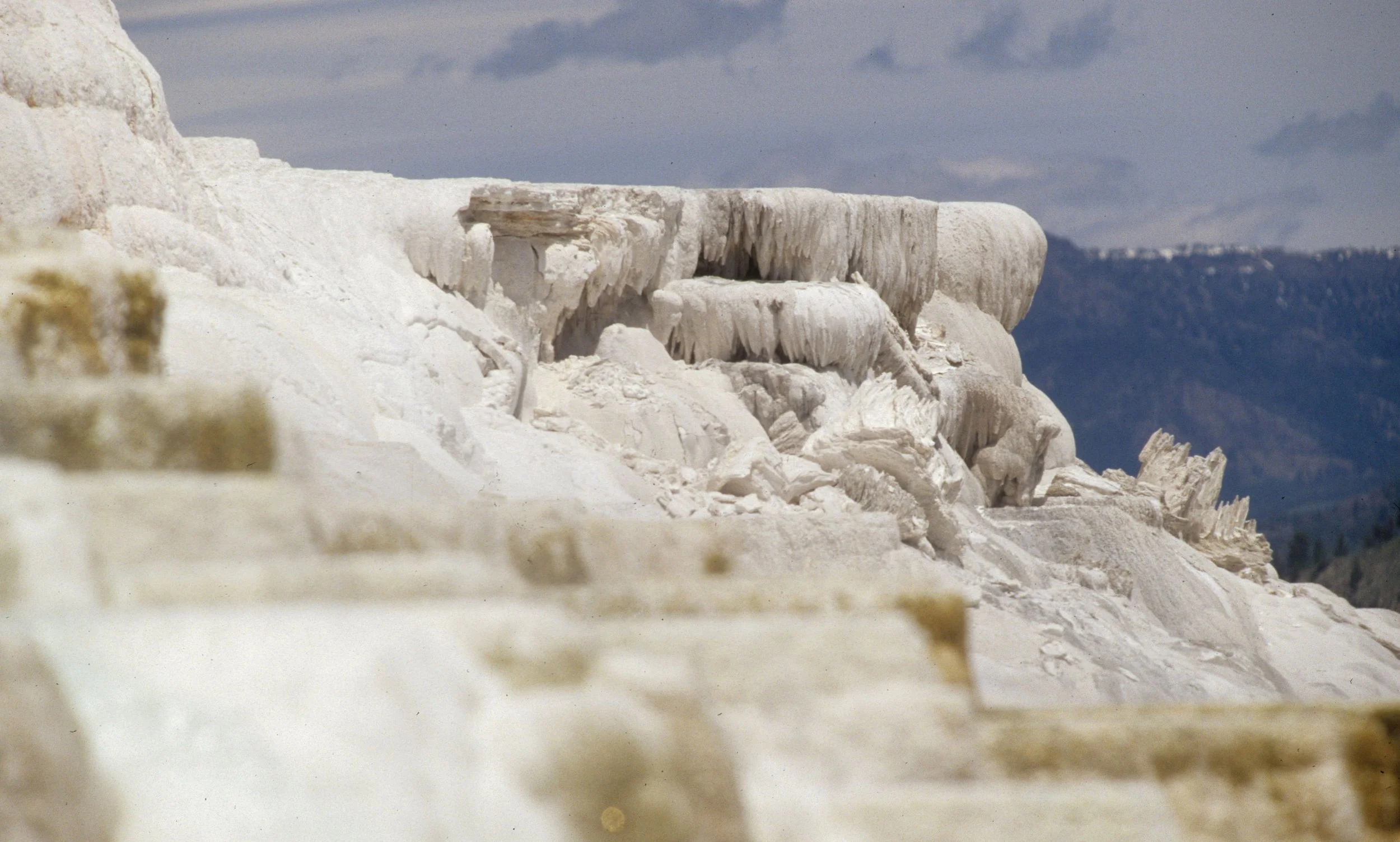 YELLOWSTONE - MAMMOTH HOTSPRINGS A (2).jpg