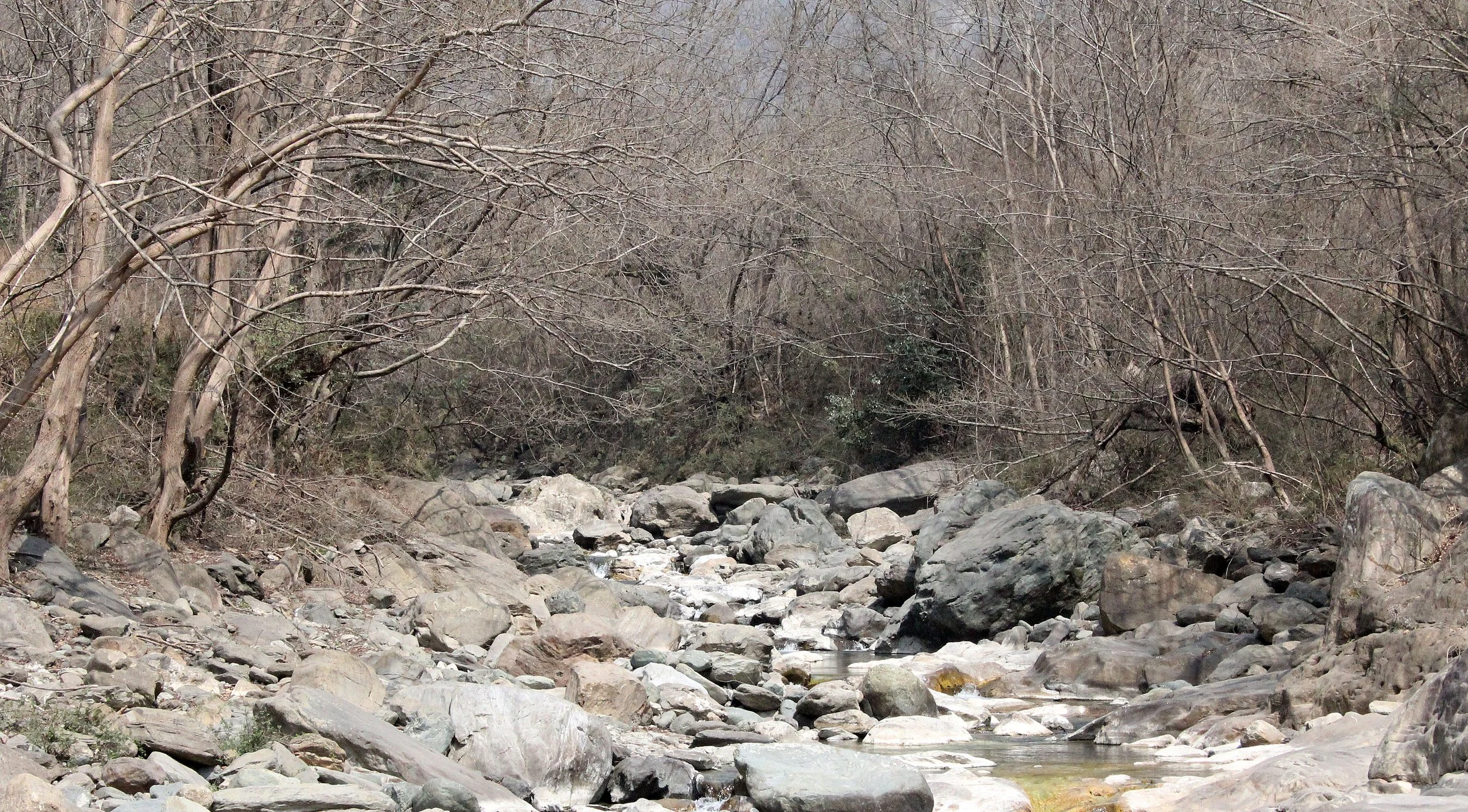 TANGJIAHE NATURE RESERVE, SICHUAN CHINA (43).JPG
