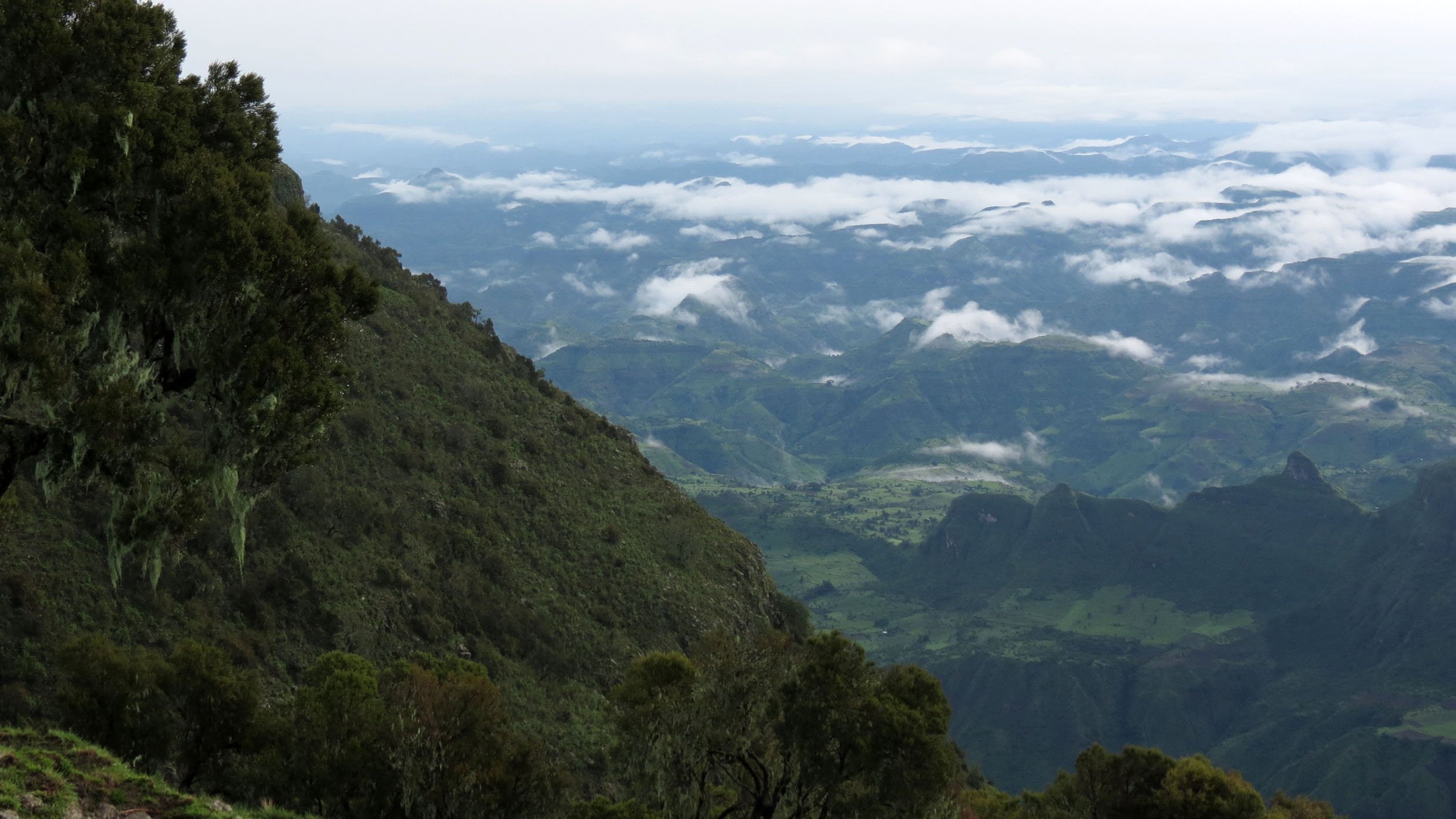 SIMIEN MOUNTAINS NATIONAL PARK ETHIOPIA (26).JPG