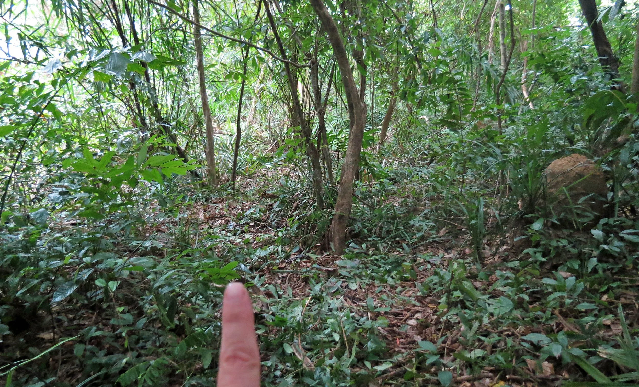 2014 Koh Lanta Build (137).JPG