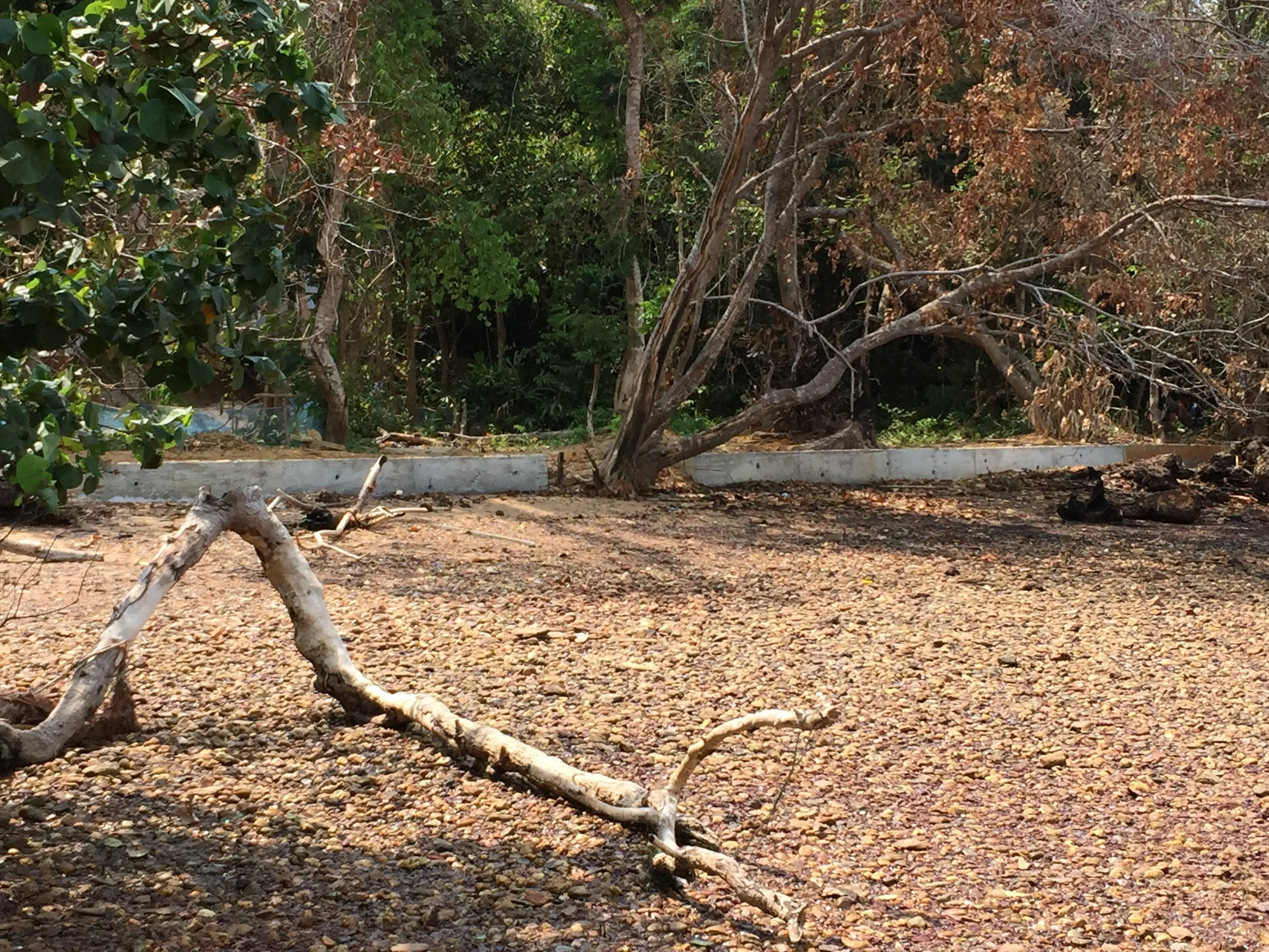 2015 Lanta Project and Scenes (59).JPG