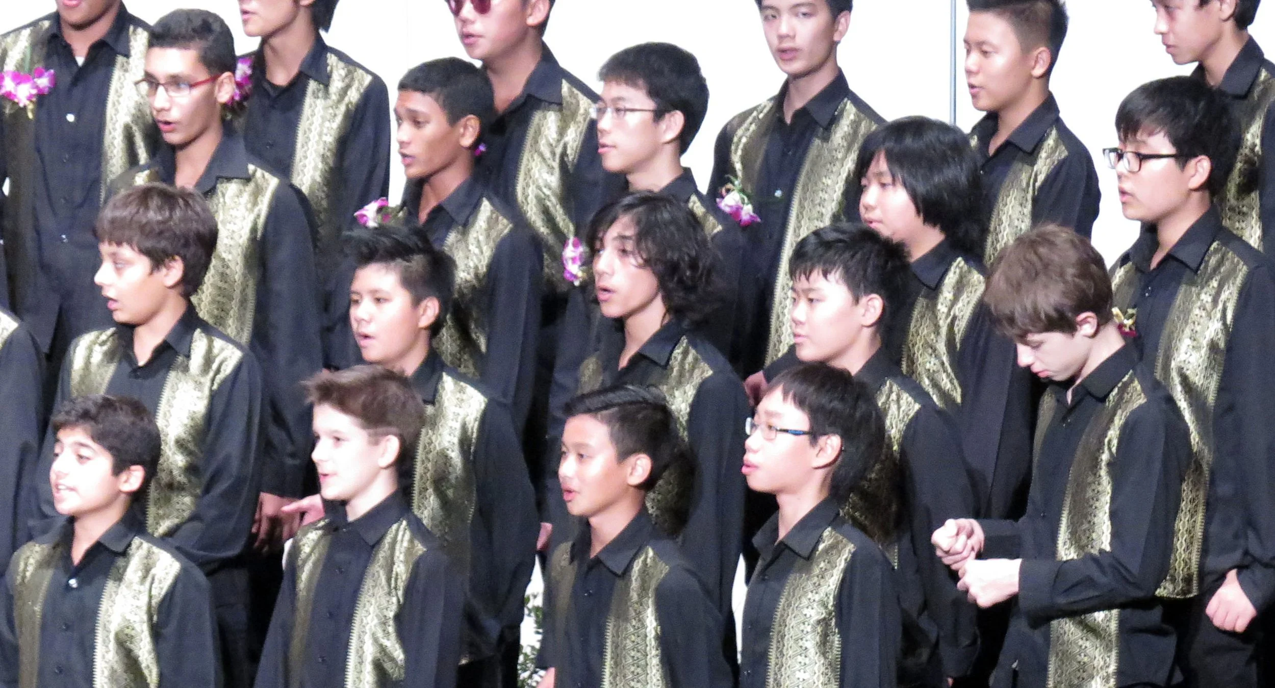 2015 Spring Concert for Cokie at ISB (7).JPG