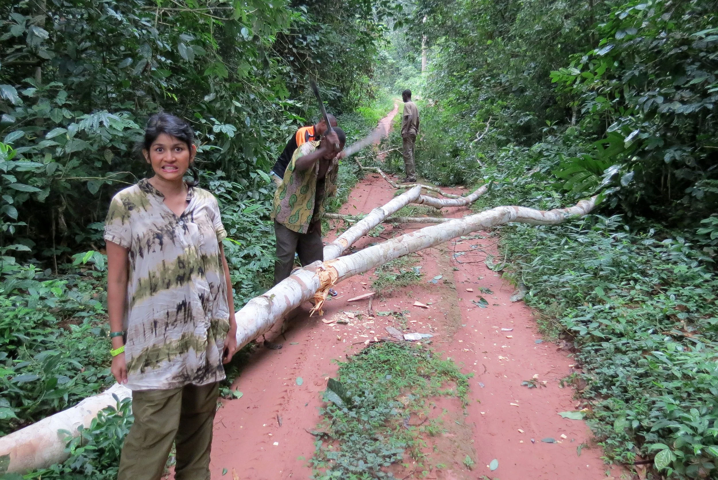 DZANGA NDOKI NATIONAL PARK  - CENTRAL AFRICAN REPUBLIC (11).JPG