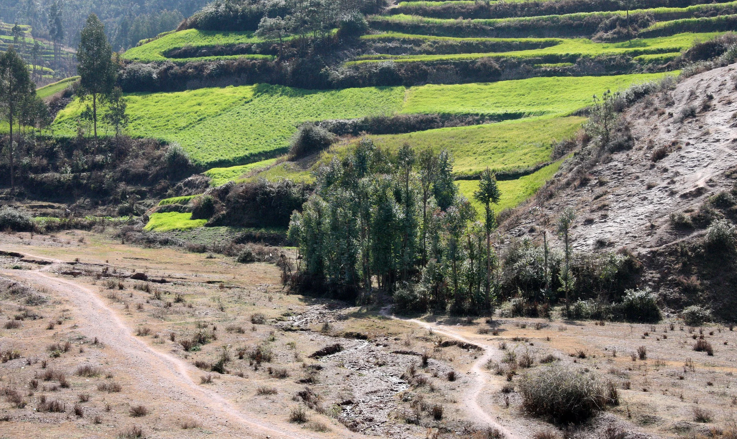 YUNNAN - NANJIAN TOWN AND SURROUNDING REGION (7).JPG