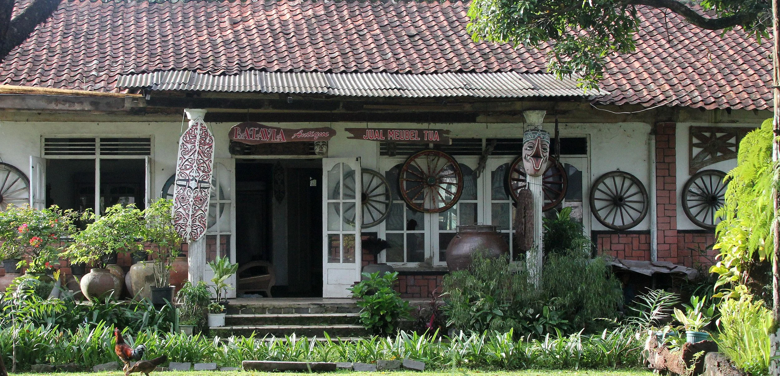 BOGOR - GEDE NATIONAL PARK - JAVA BARA, INDONESIA (17).JPG