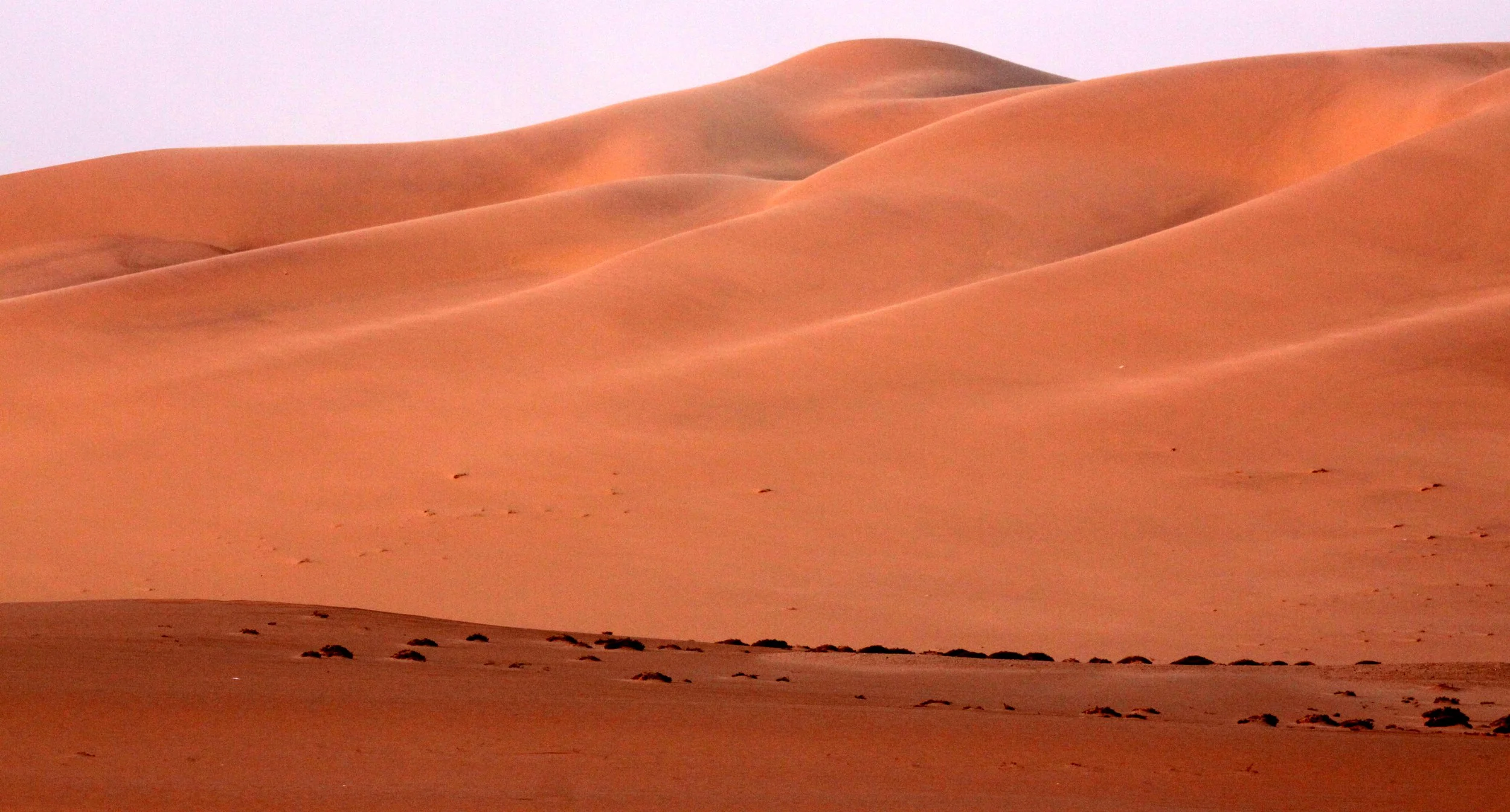 NAMIBIA - SKELETON COAST NATIONAL PARK - SCENES ALONG THE COAST (6).JPG