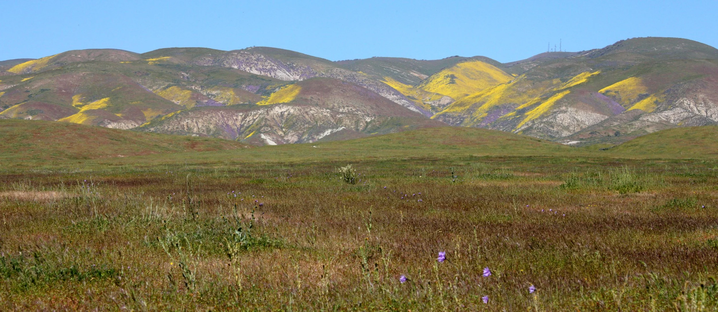 CARRIZO PLAIN NATIONAL MONUMENT - VIEWS OF THE REGION - ROADTRIP 2010 (103).JPG