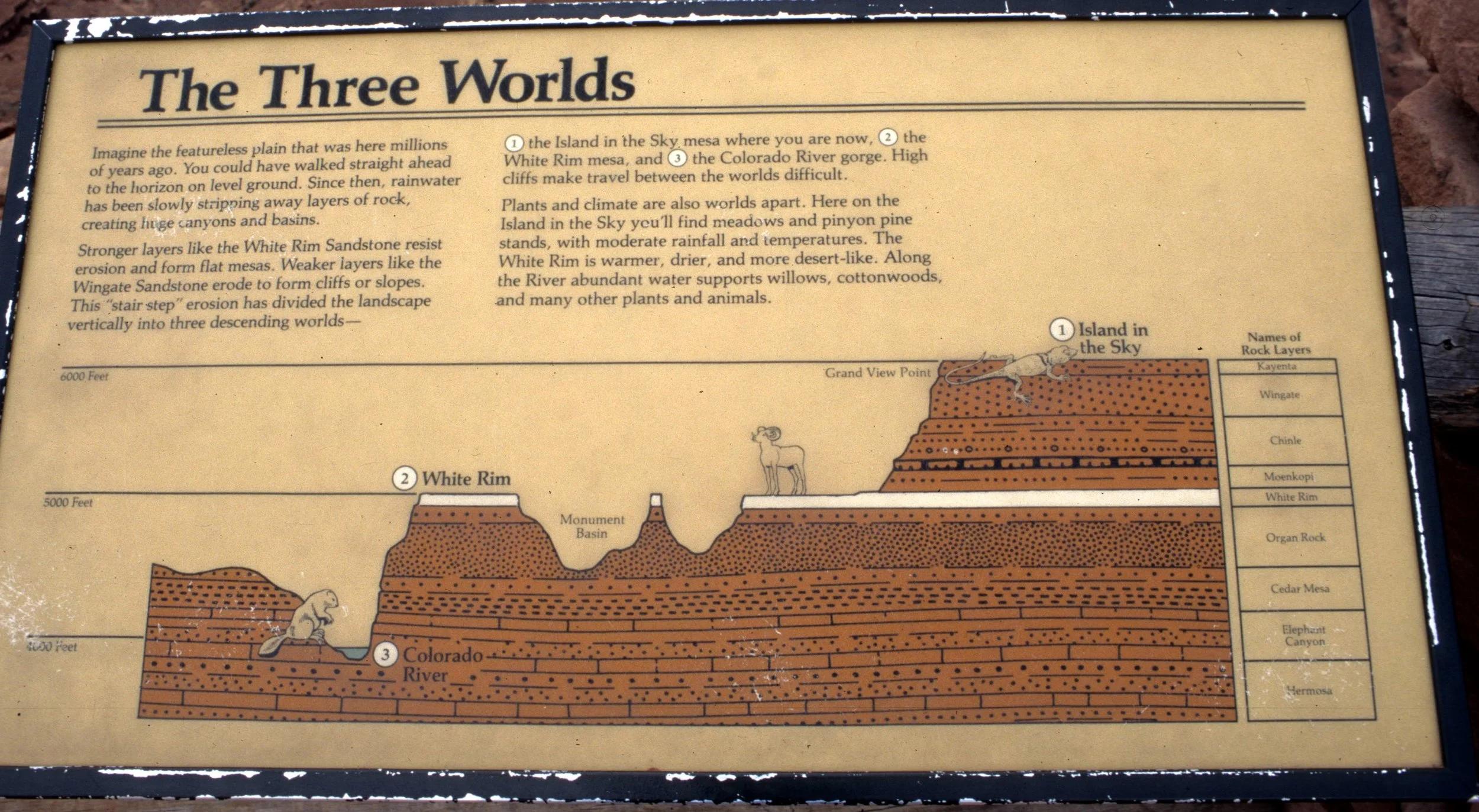 UTAH - CANYONLANDS NP LL.jpg