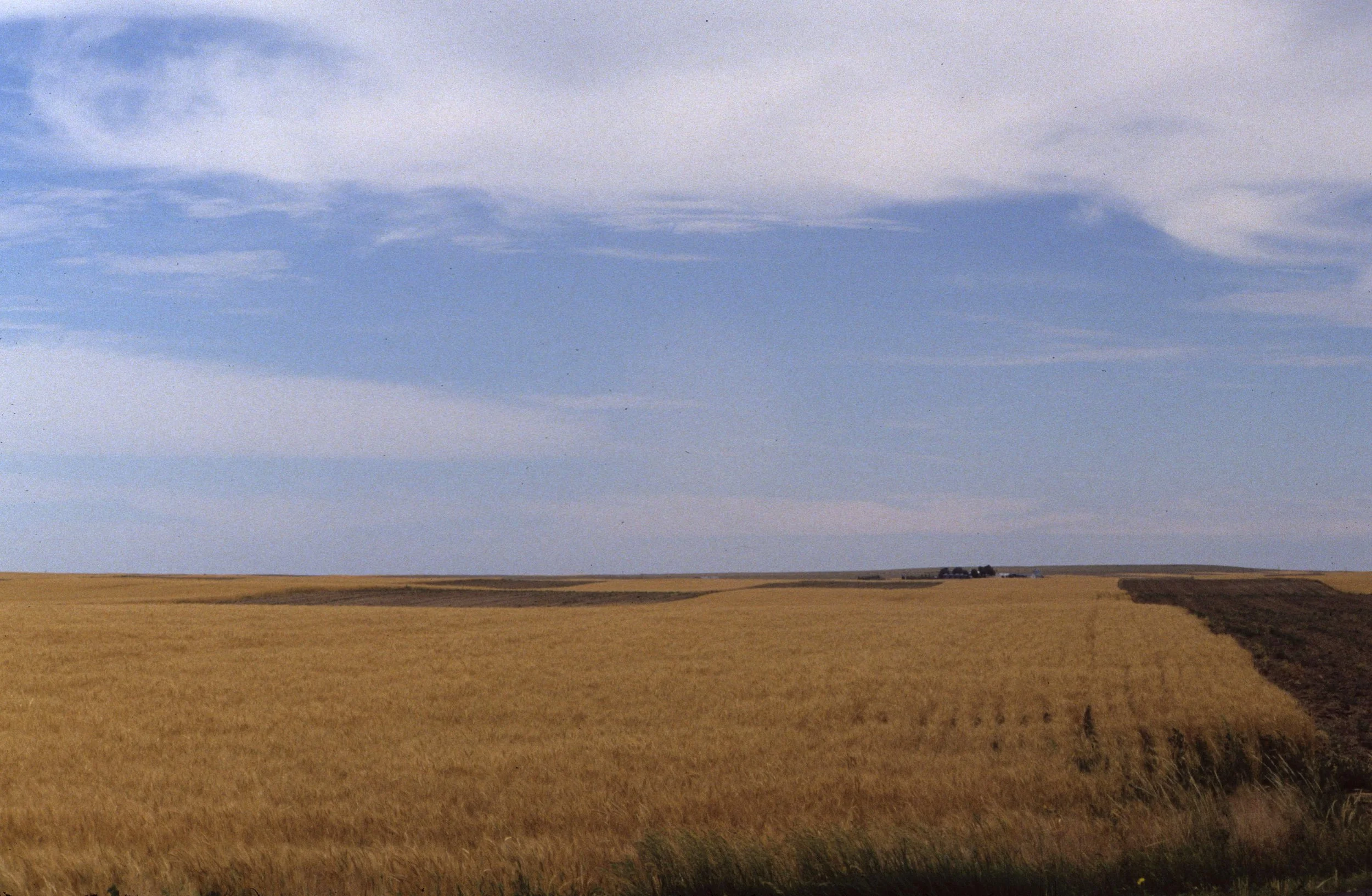 GREAT PLAINS - GRASSLANDS IN CULTIVATION.jpg