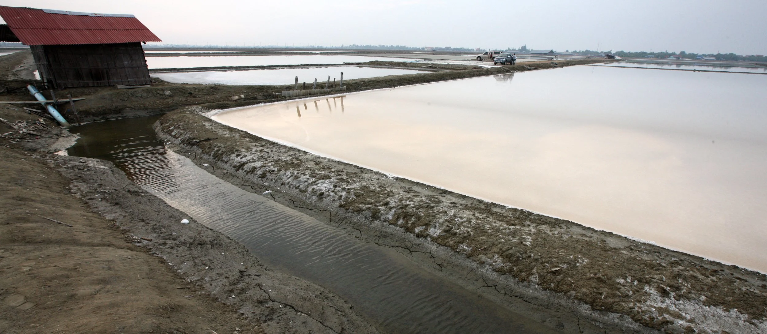 2011 Pak Thale Salt Ponds (7).JPG