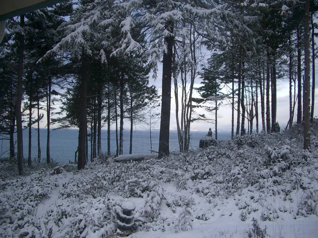 2004-1-3 LAKE FARM IN SNOW (2).JPG