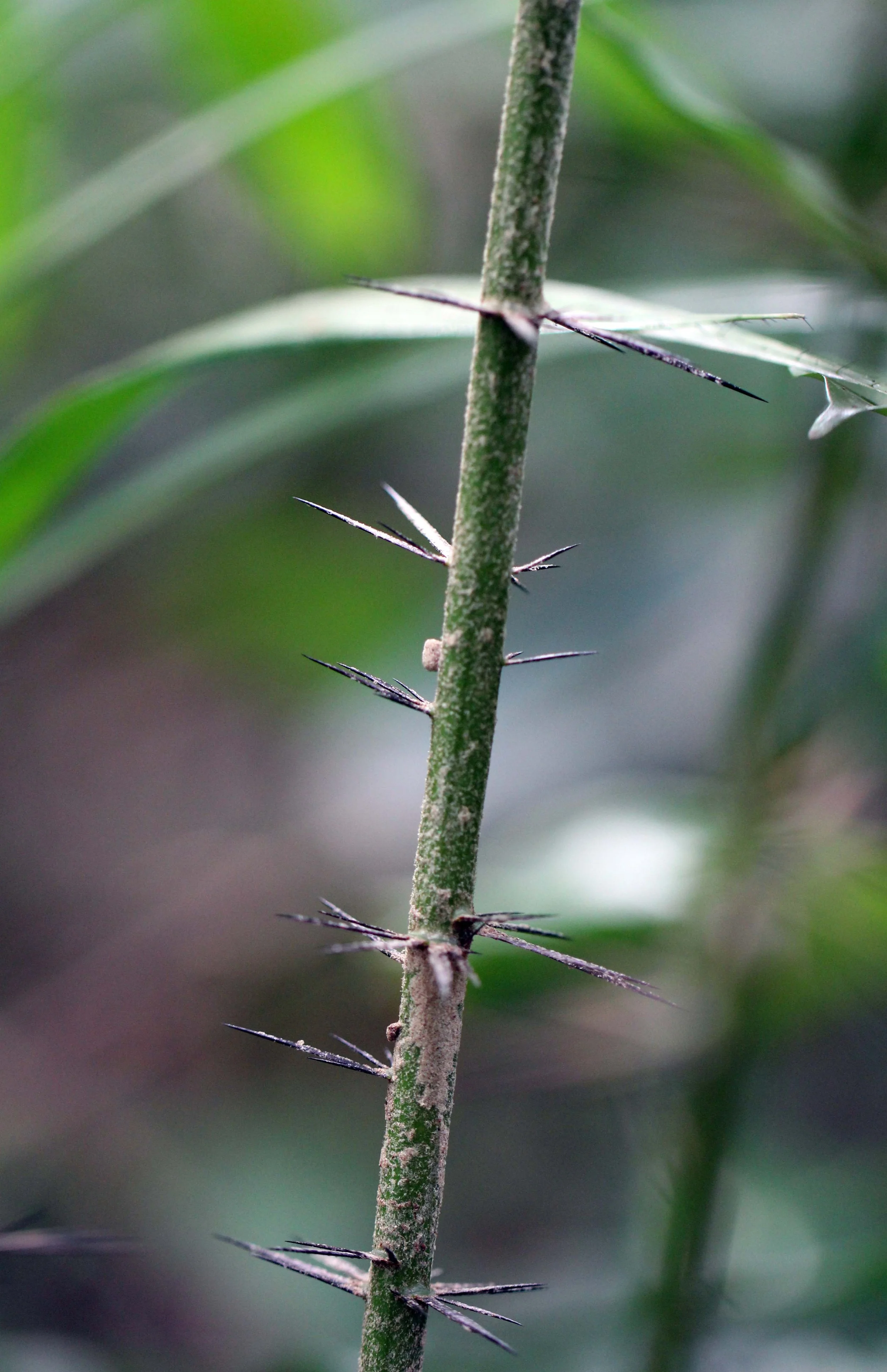 2013 KOH LANTA - OCTOBER BREAK 2013 (292).JPG