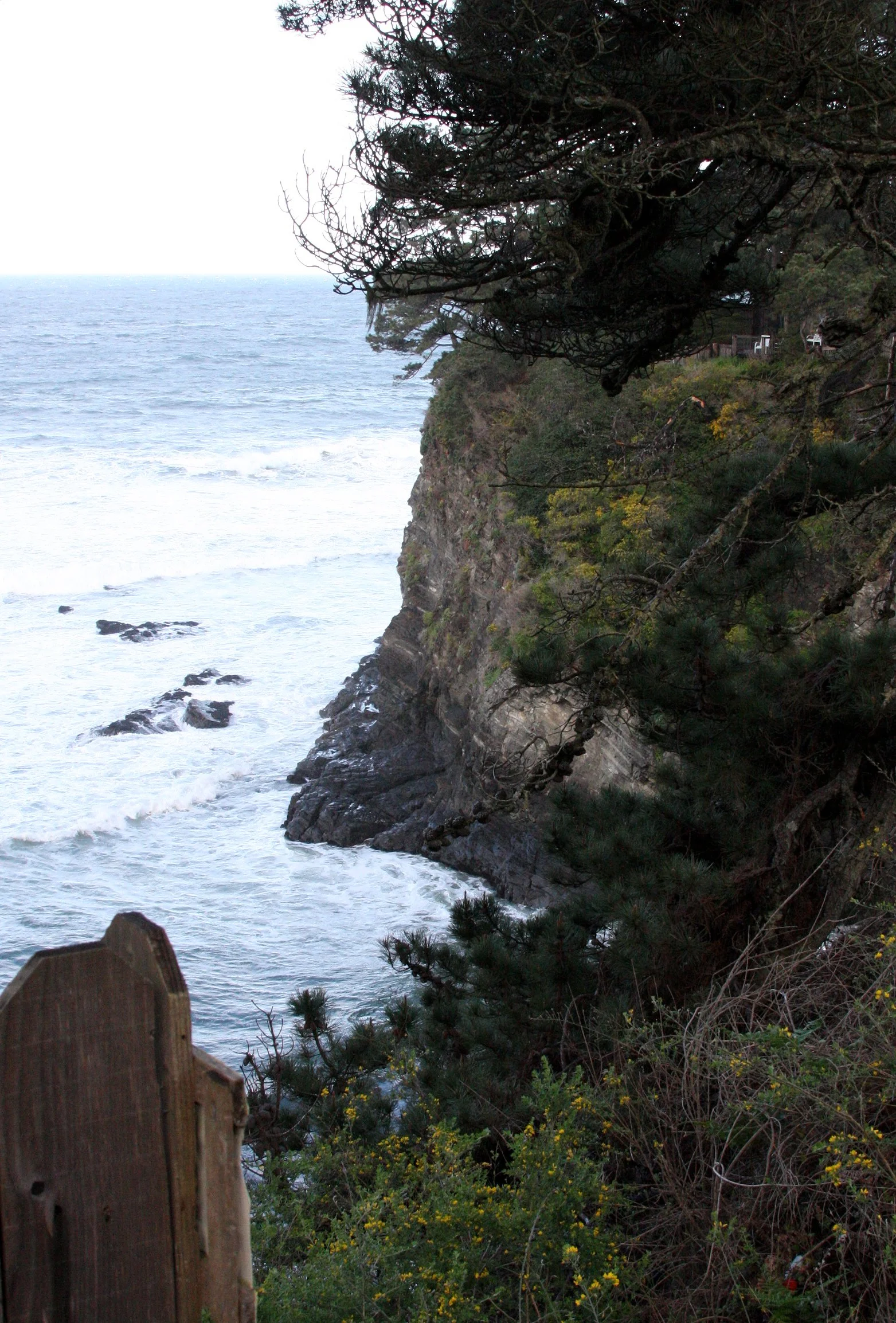 2010-3-28-29 MENDOCINO COAST - ROADTRIP 2010 (15).JPG