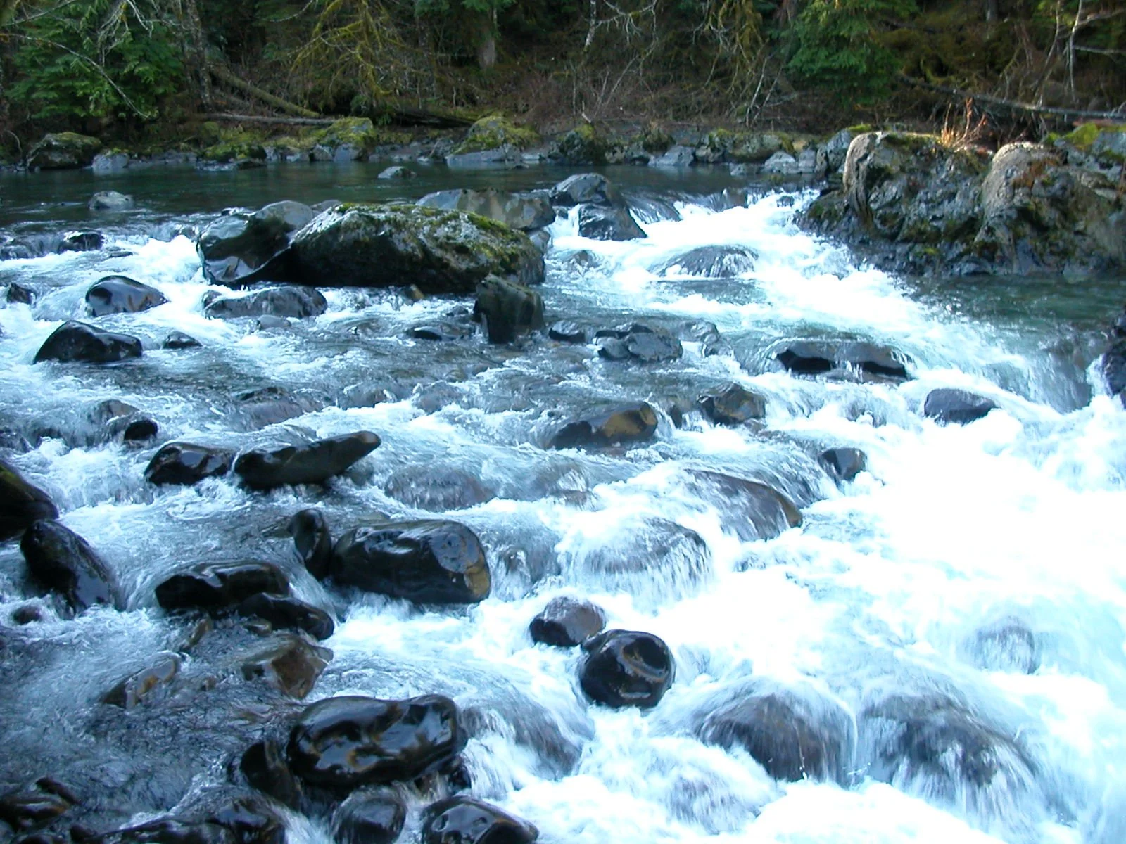 2003-11-28 THANKSGIVING IN LAKE FARM (61).JPG