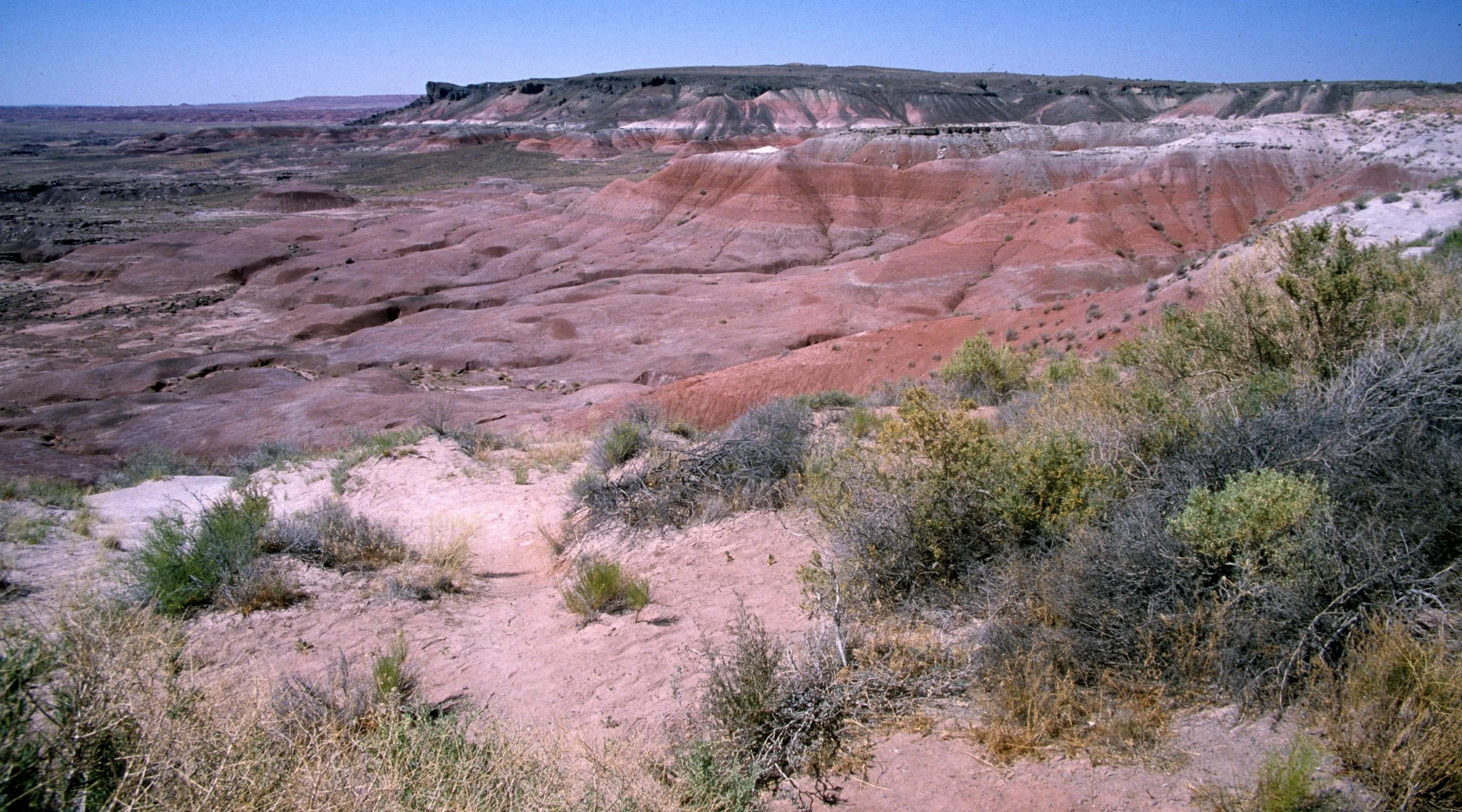 ARIZONA - PAINTED DESERT A.jpg