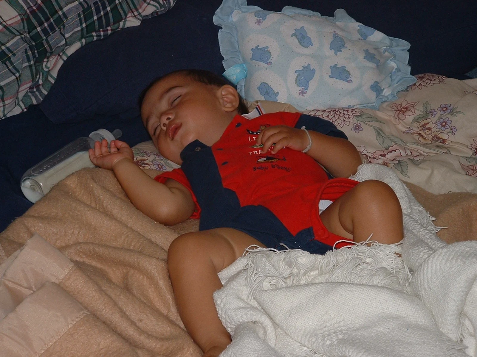 2003-8-1 WASHINGTON VISIT FROM ROBINSONS ET AL (115).JPG