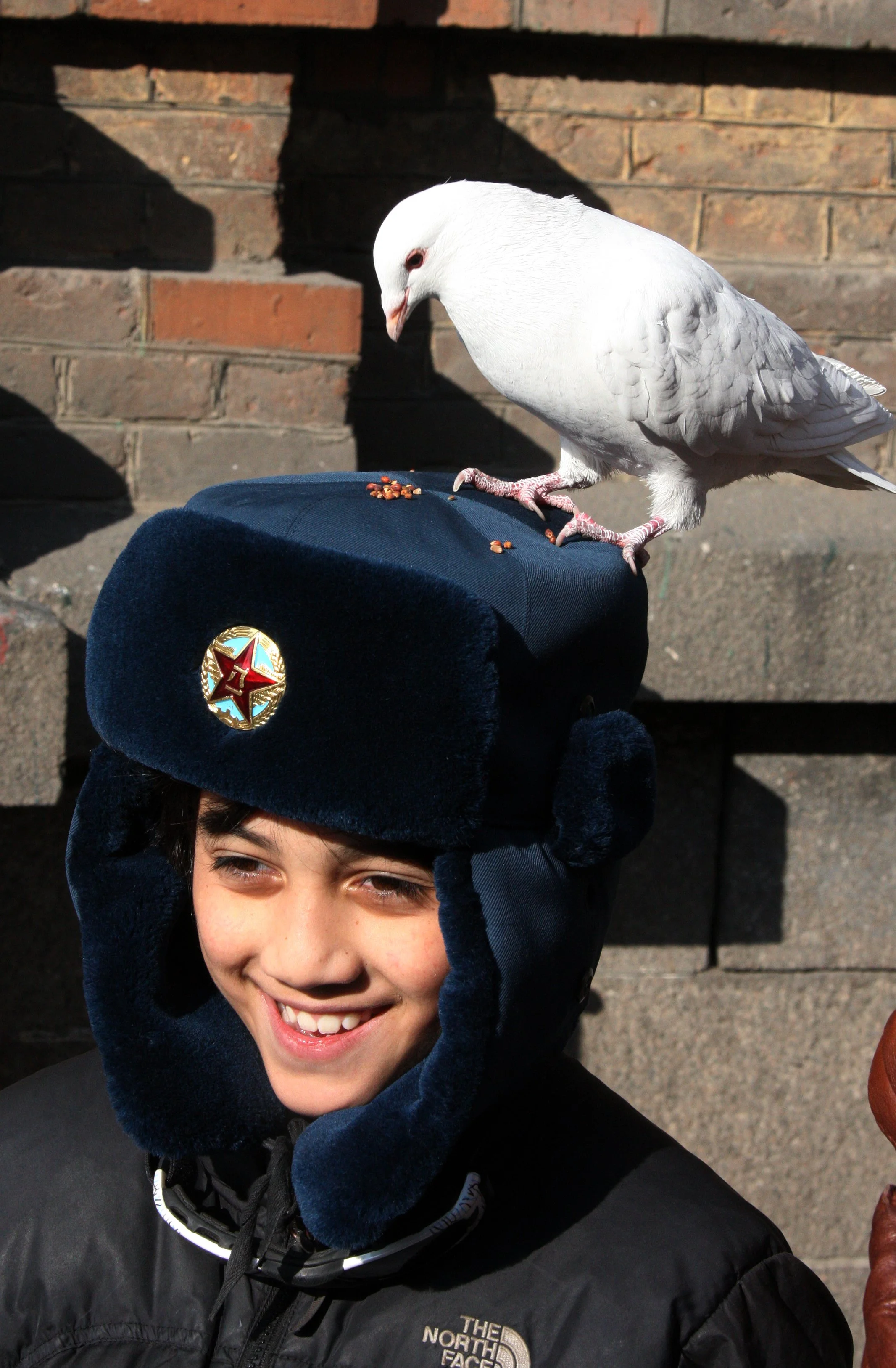 BIRD - PIGEON - HARBIN SAINT SOPHIA'S CATHEDRAL CHINA (70).JPG