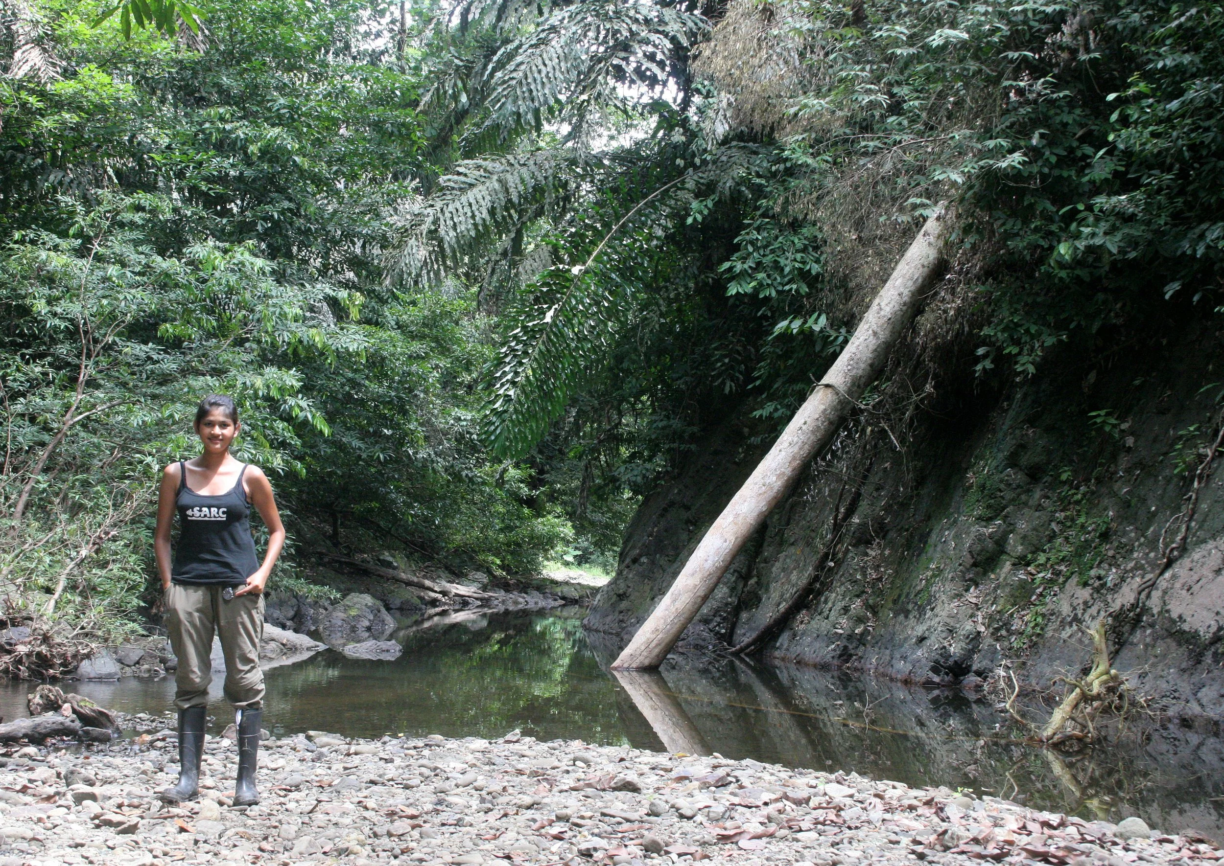 TABIN WILDLIFE RESERVE BORNEO - TABIN FALLS AND SWIMMING HOLE.JPG