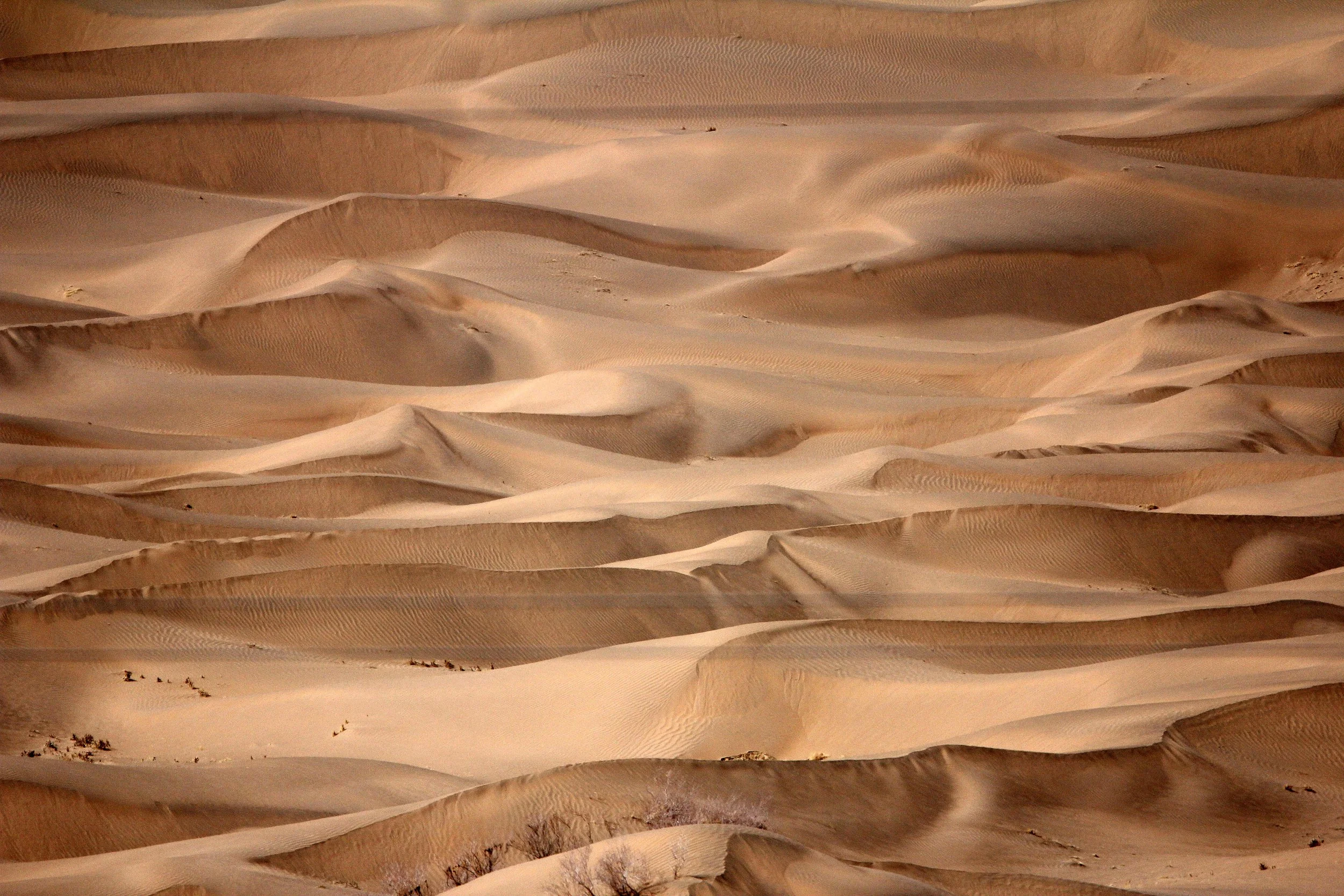 GANSU - DUNES SOUTH OF DUNHUANG - CHINA (32).JPG