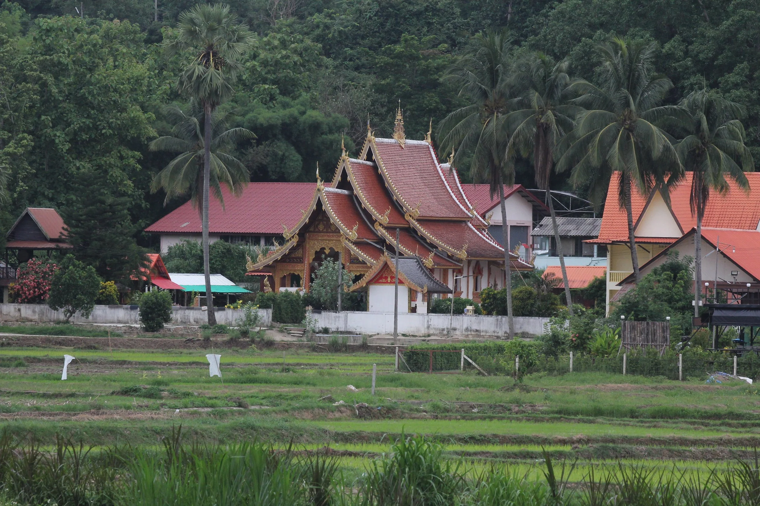 2020 4-5 July Wat Phrathat Beng Sakat North Thailand Tirp (29).JPG
