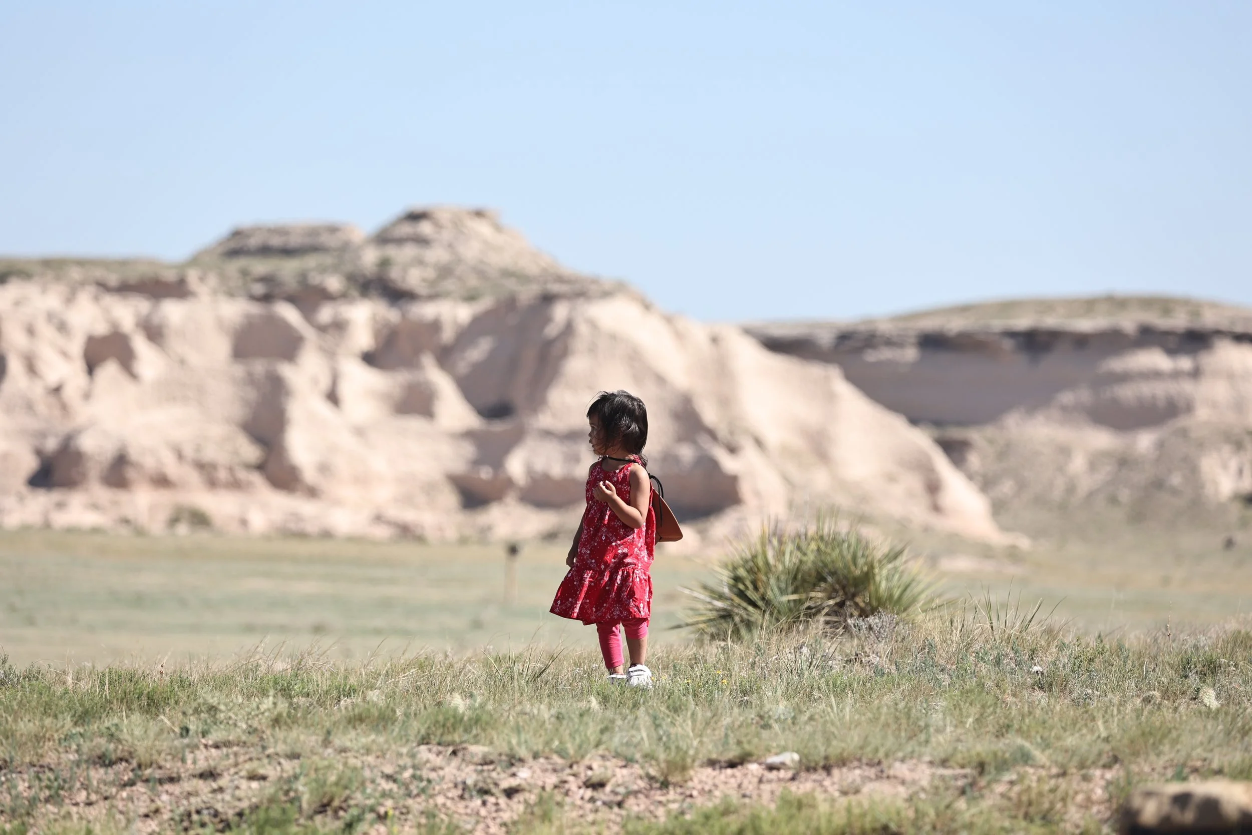 PAWNEE NATIONAL GRASSLANDS COLORADO 2022 (216).JPG