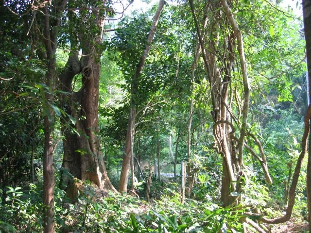 KOH LANTA - PROPERTY - 2005 (71).jpg
