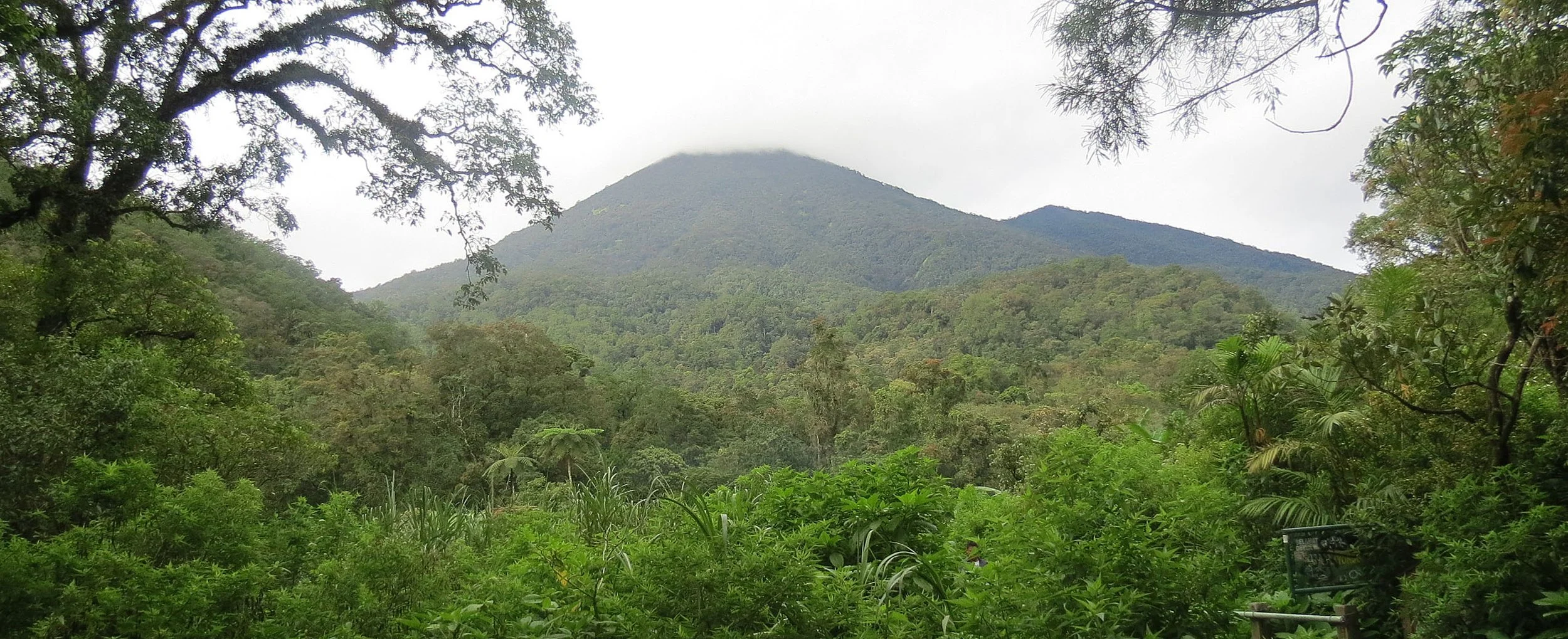 GEDE NATIONAL PARK - JAVA BARAT INDONESIA (64).JPG