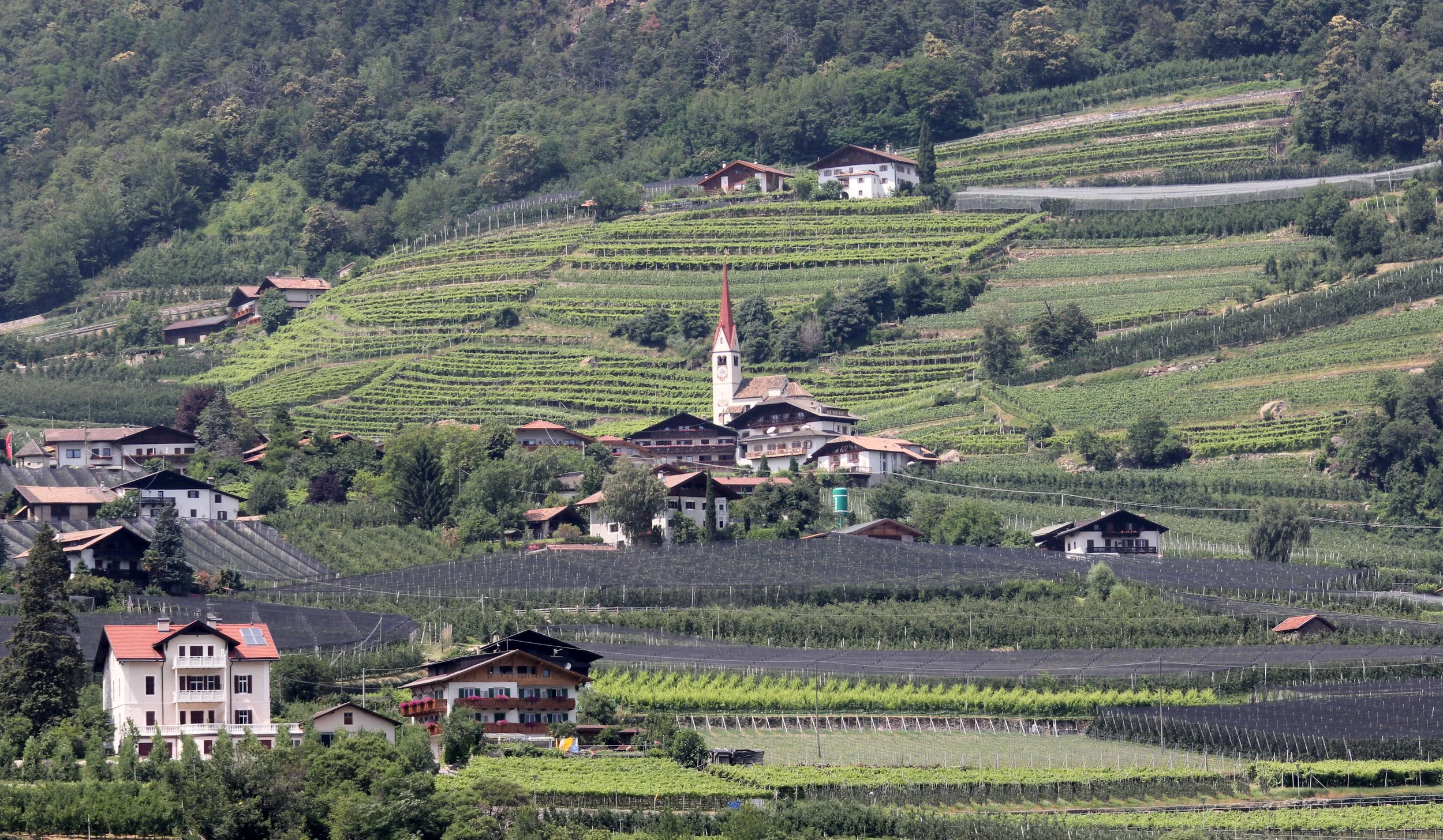 BURGOSIO ITALY - STELVIO NATIONAL PARK AREA (2).JPG