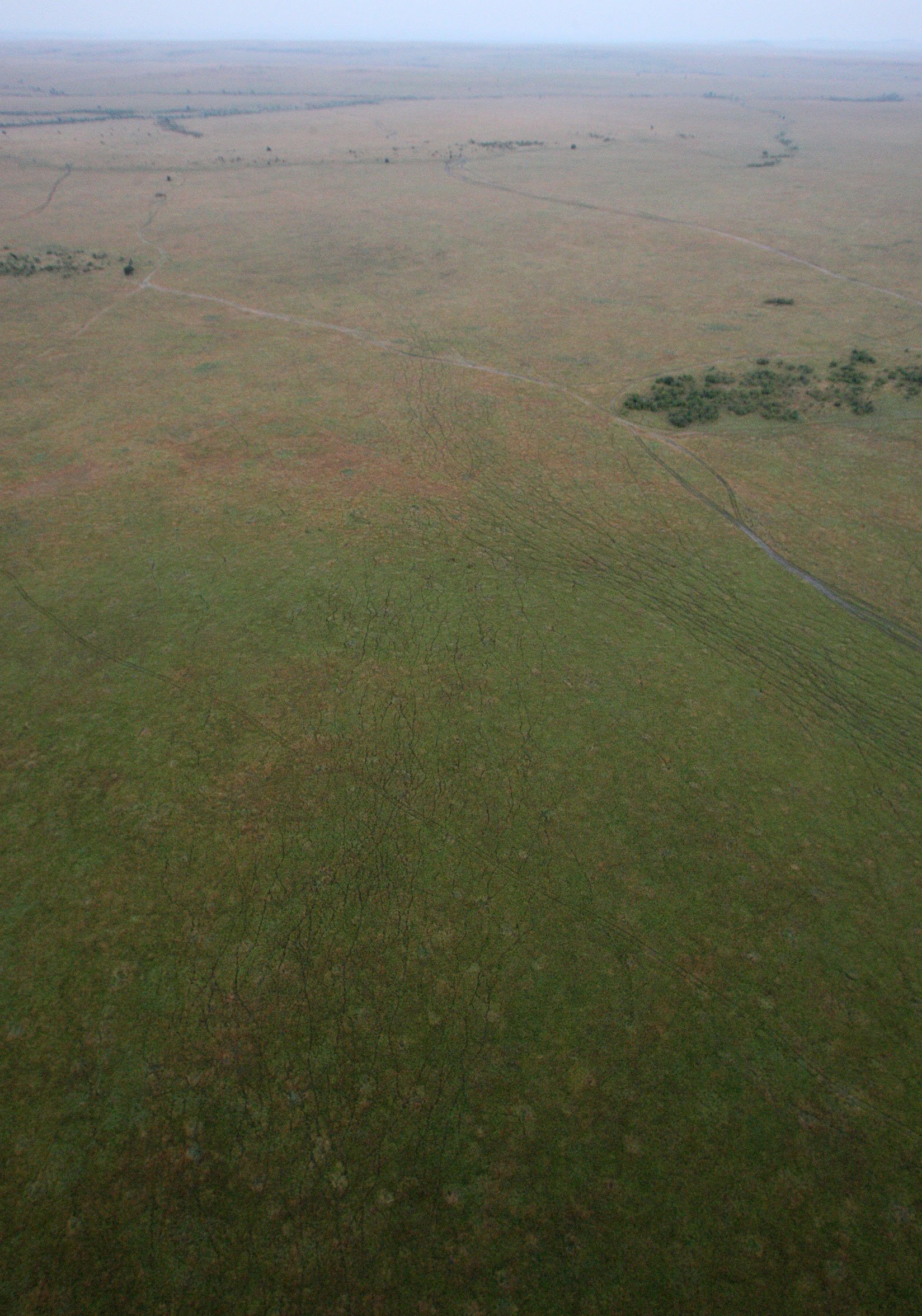 MASAI MARA NATIONAL PARK KENYA (76).JPG