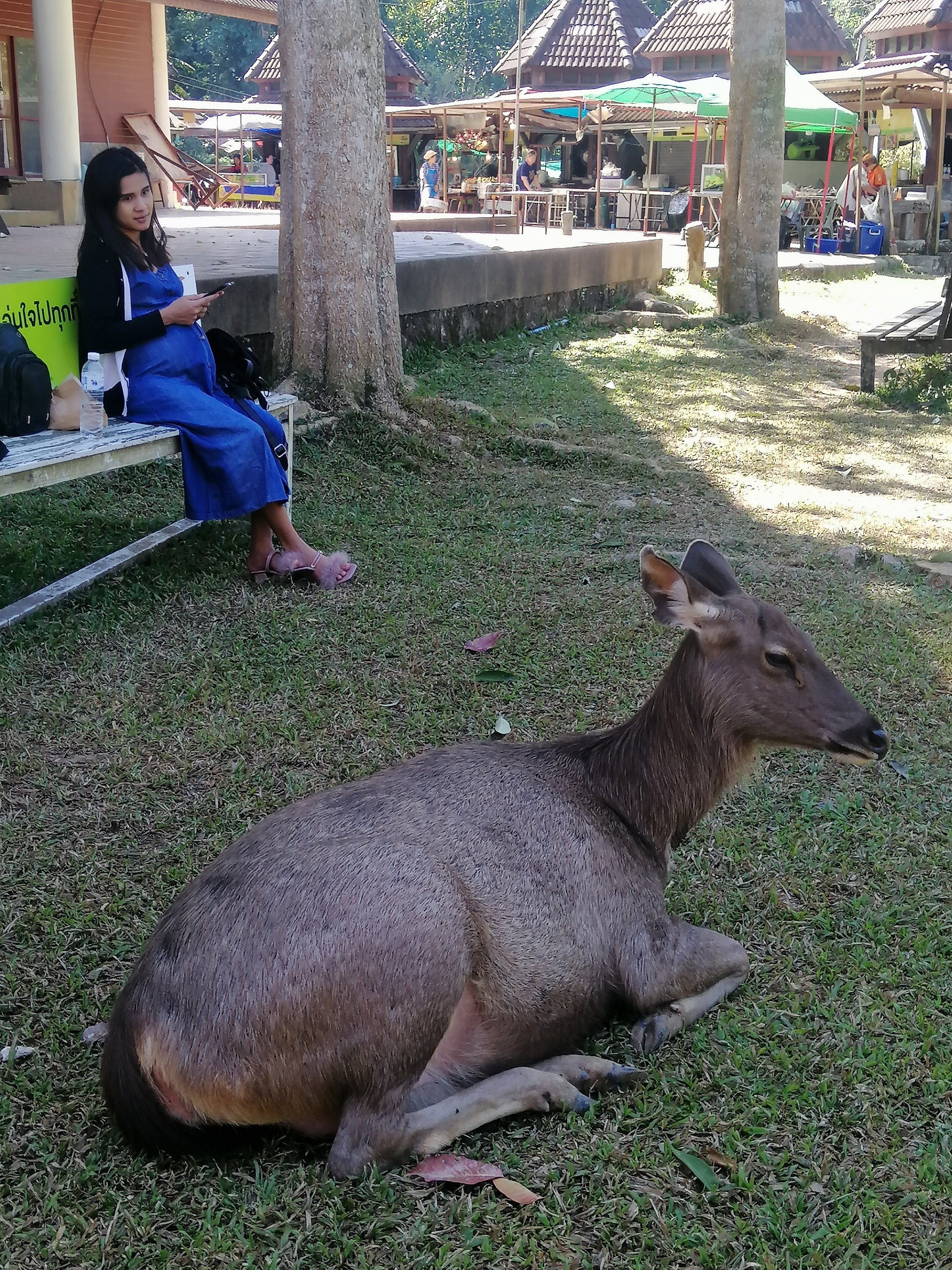 2019 Khao Yai National Park Camping with Gift (49).jpg