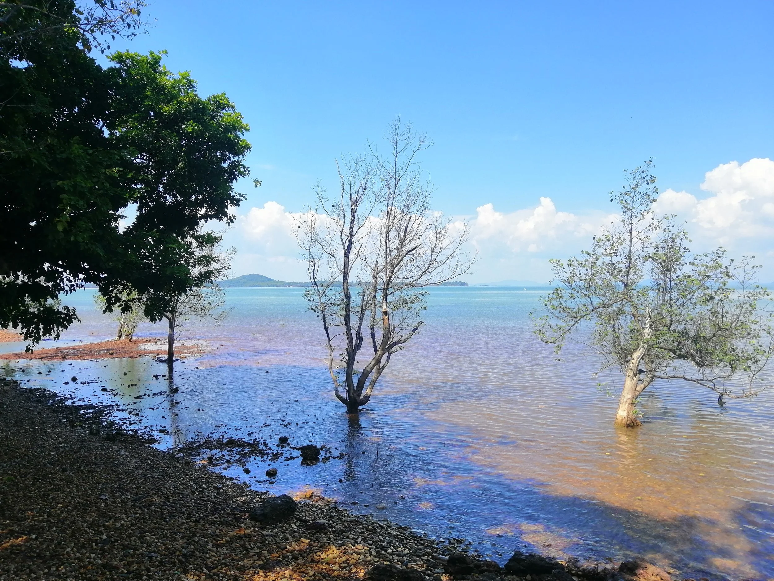 2018 Koh Lanta Misc  (146).jpg