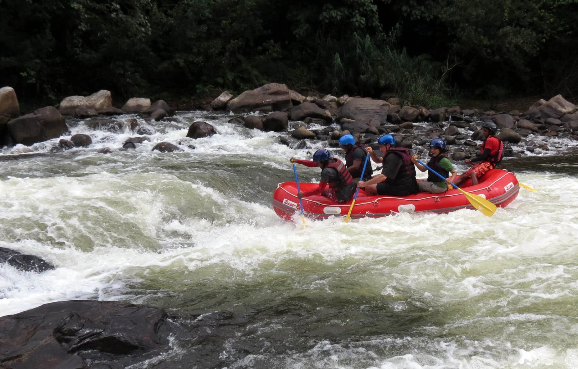 KITULGALA FOREST PRESERVE SRI LANKA (56).JPG