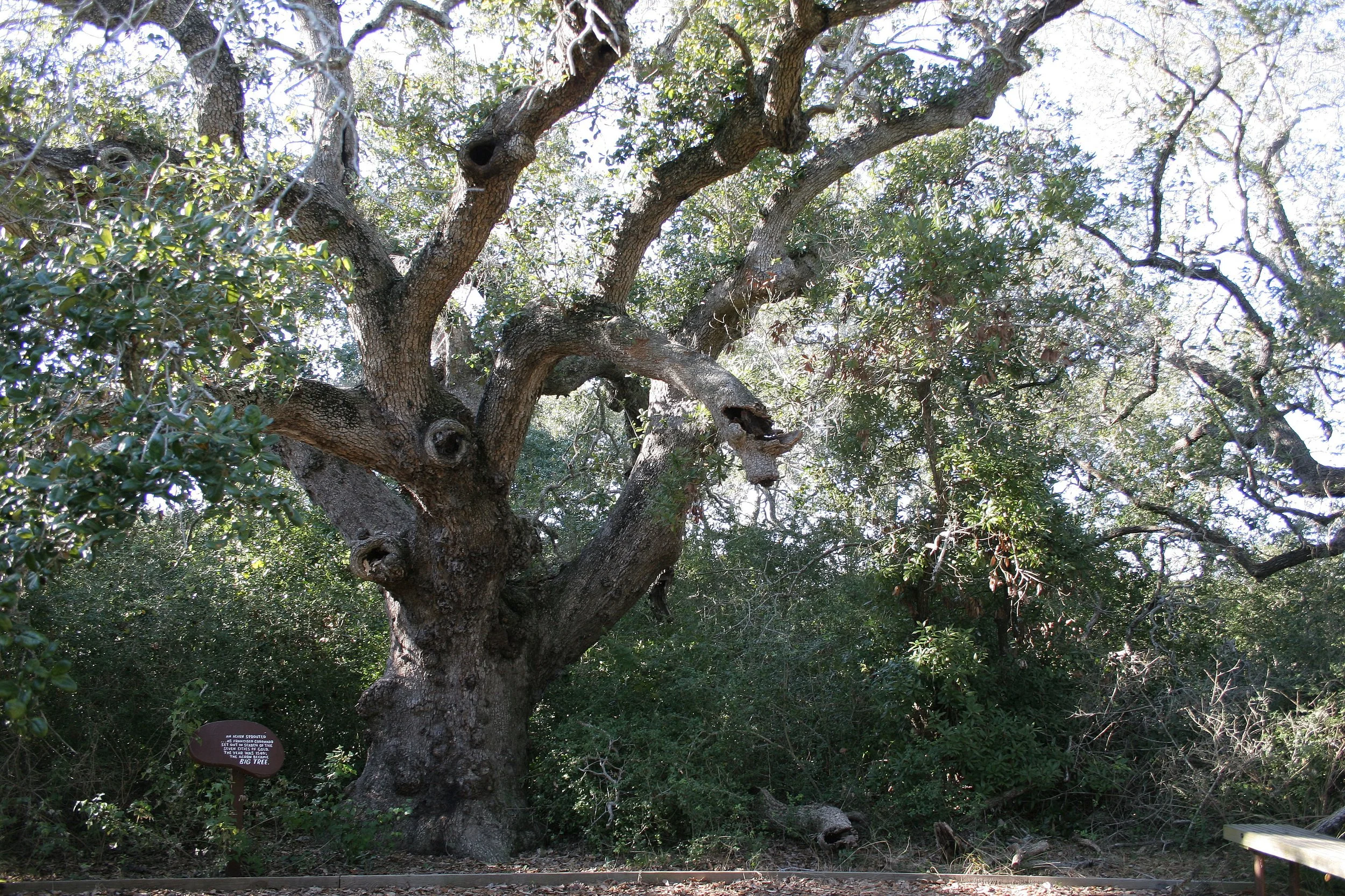 ARANZAS NWR - TEXAS (17).jpg