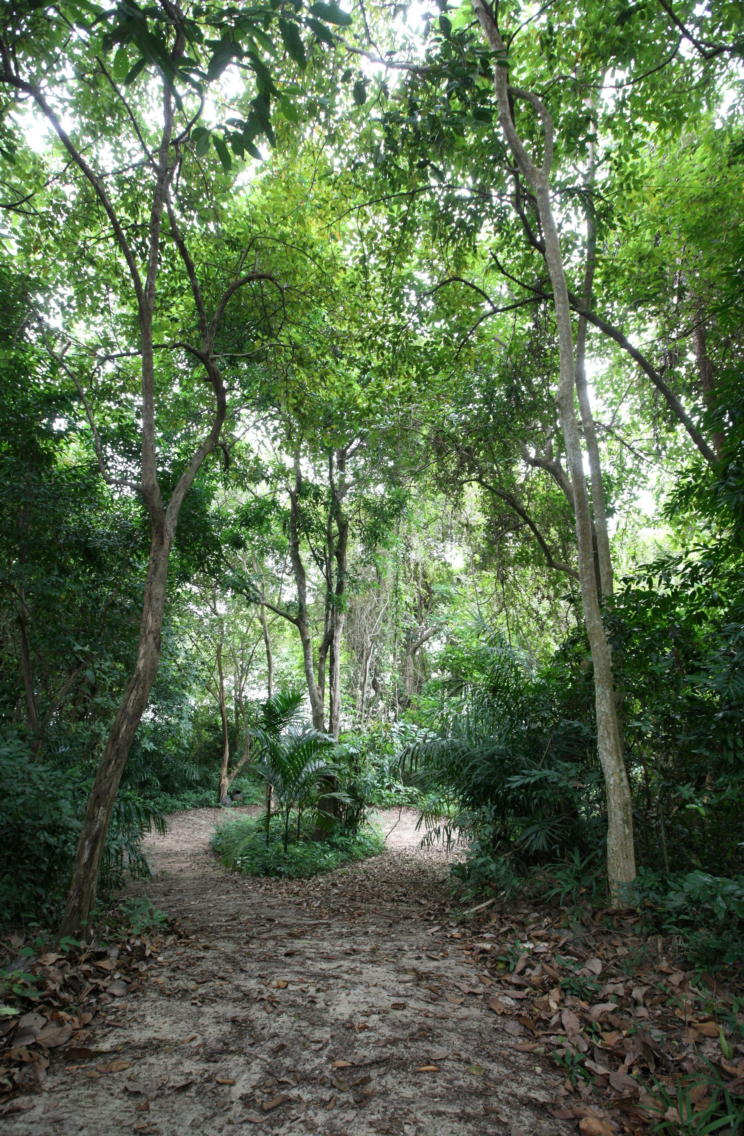 LANTA ISLAND - OUR PROPERTY - WINTER 2011 (44).JPG