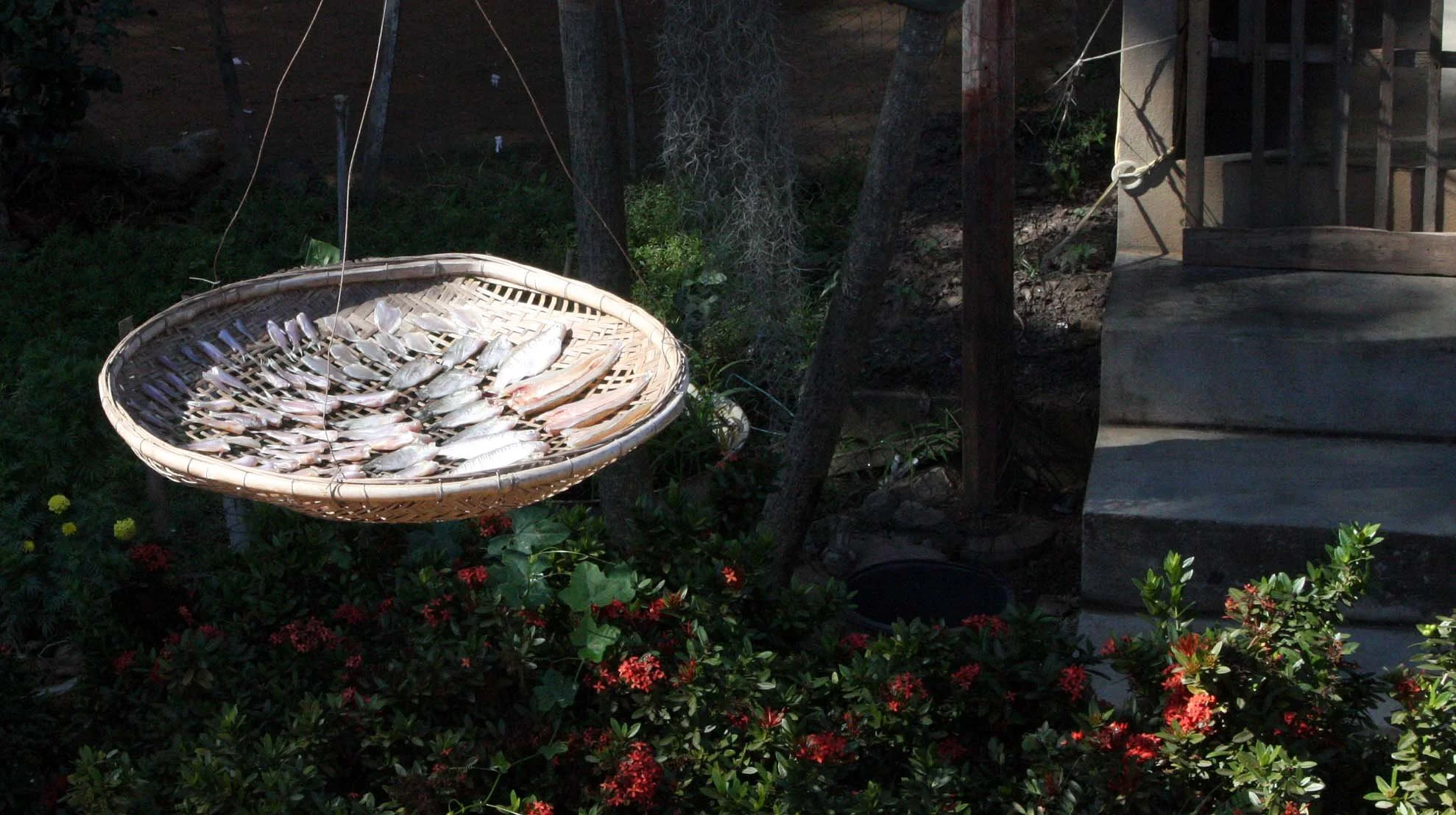 SI SATCHANALAI - MONASTERY - CHRISTMAS IN THAILAND TRIP 2008.JPG