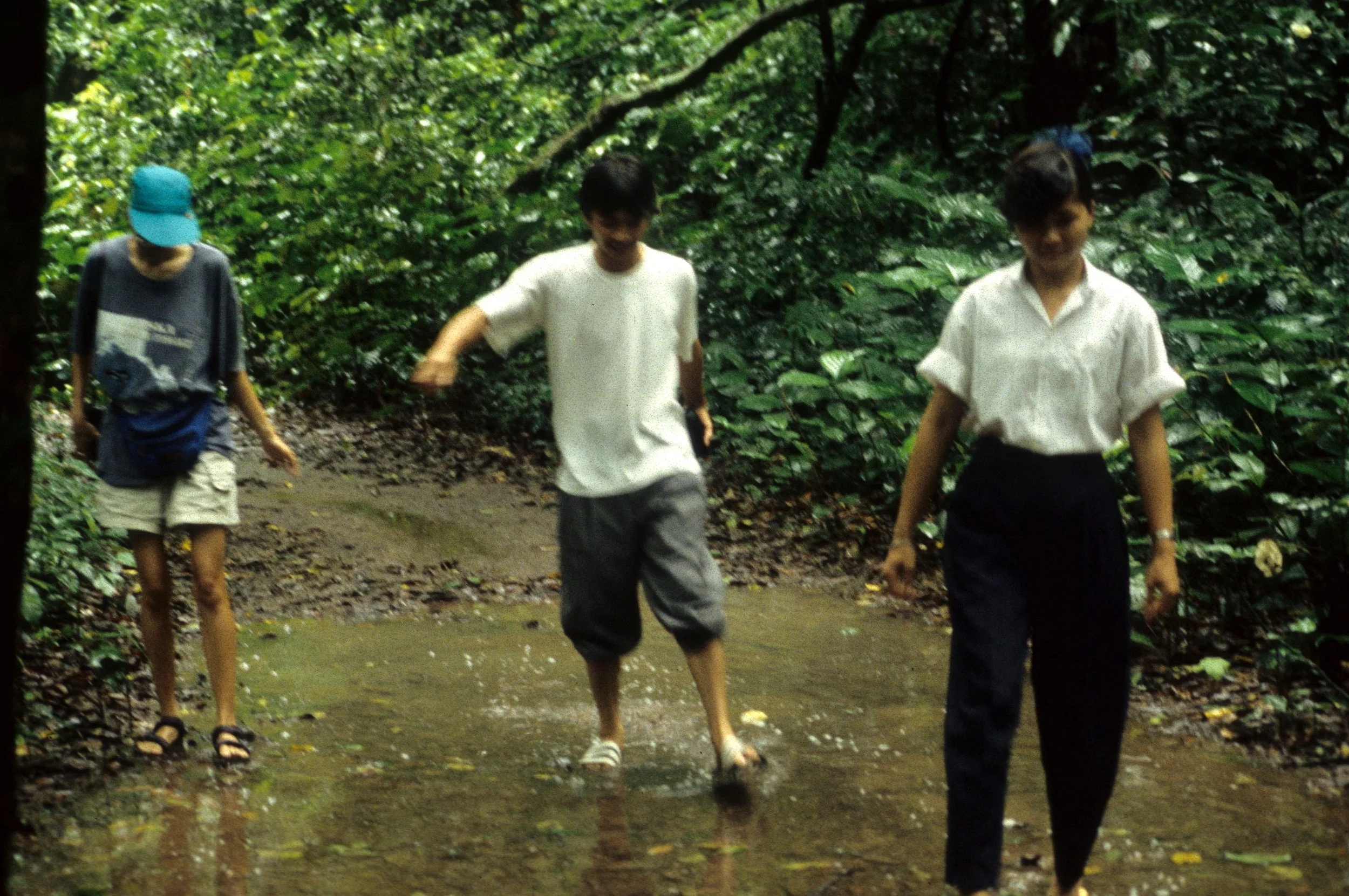 CUC PHUONG NP - HOMO ERECTUS CAVE 1994.jpg