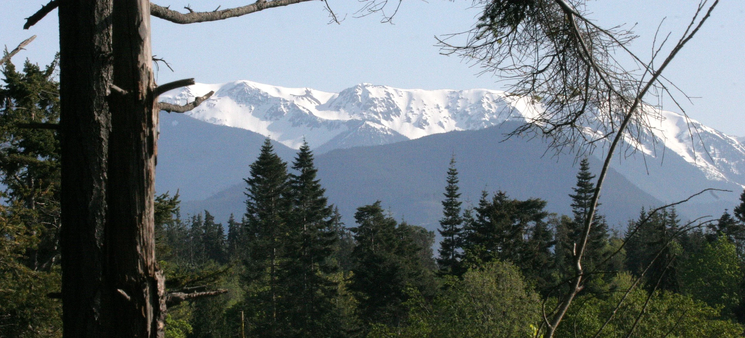 KLAHANE RIDGE FROM LAKE FARM  (3).JPG