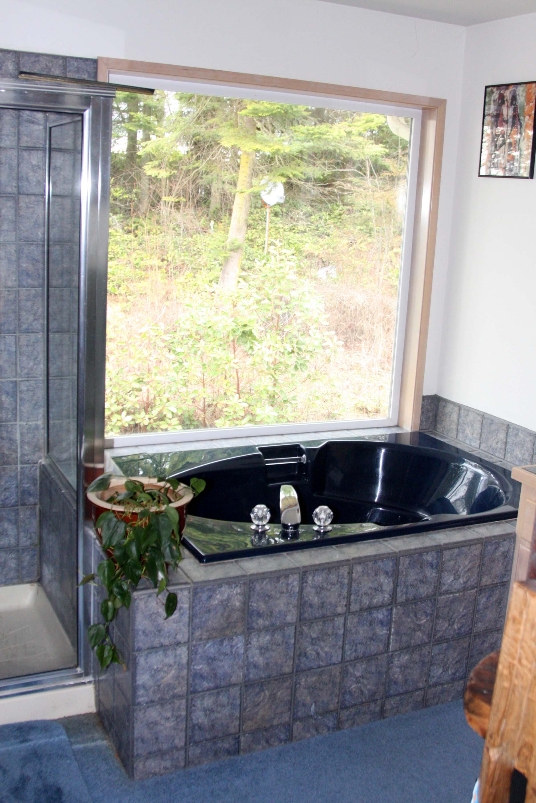 2009-4-24 - HOUSE - MASTER BATH - THIRD LEVEL (2).JPG