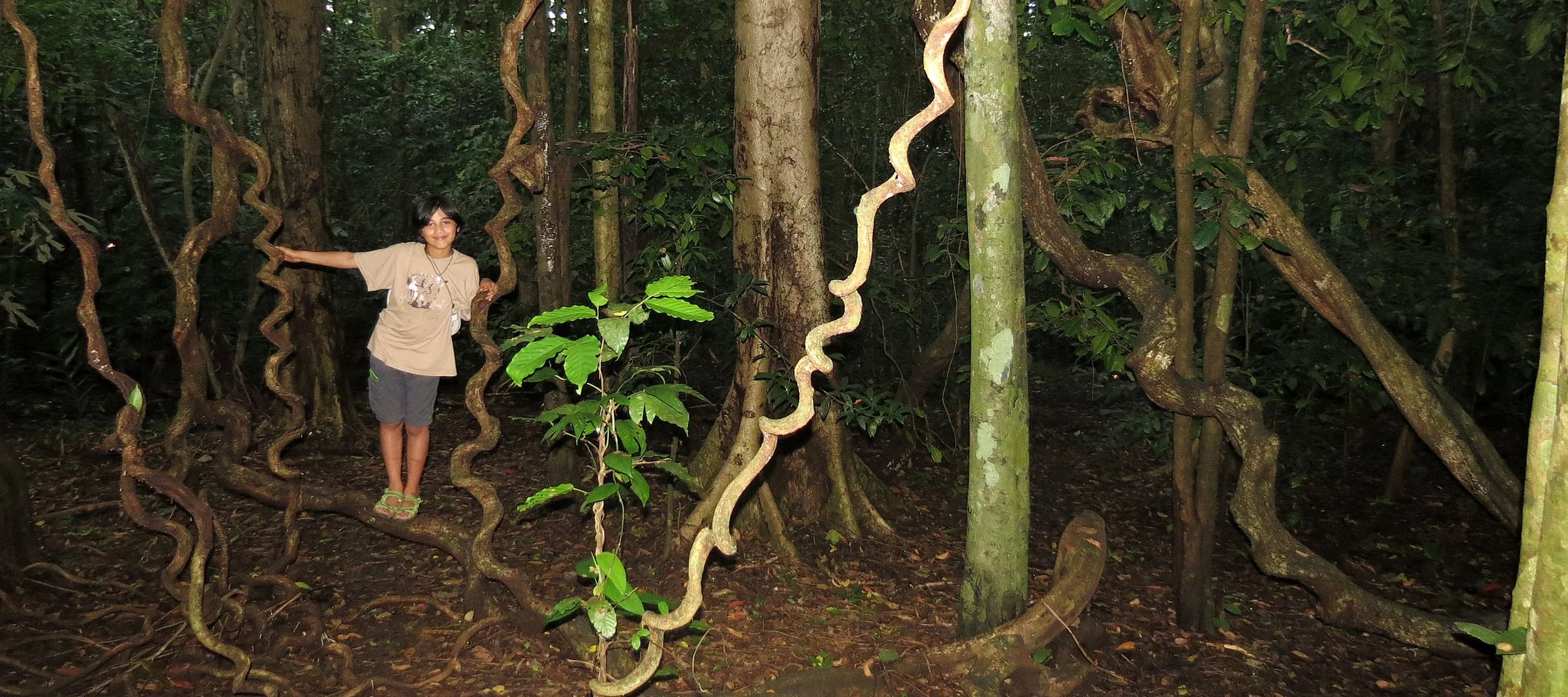 TANGKOKO NATIONAL PARK SULAWESI INDONESIA (98).JPG