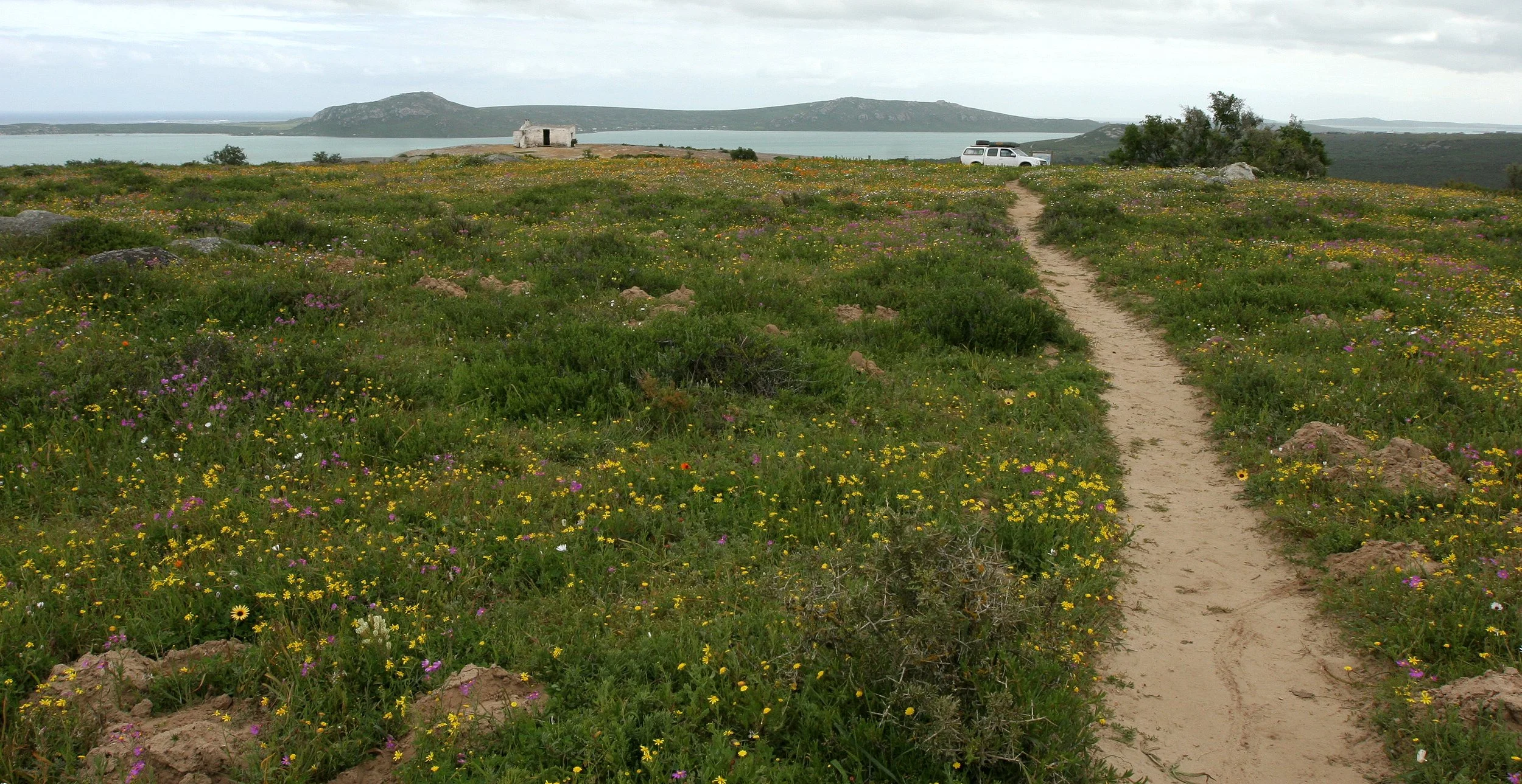 WEST COAST NATIONAL PARK SOUTH AFRICA - VIEWS OF (6).JPG