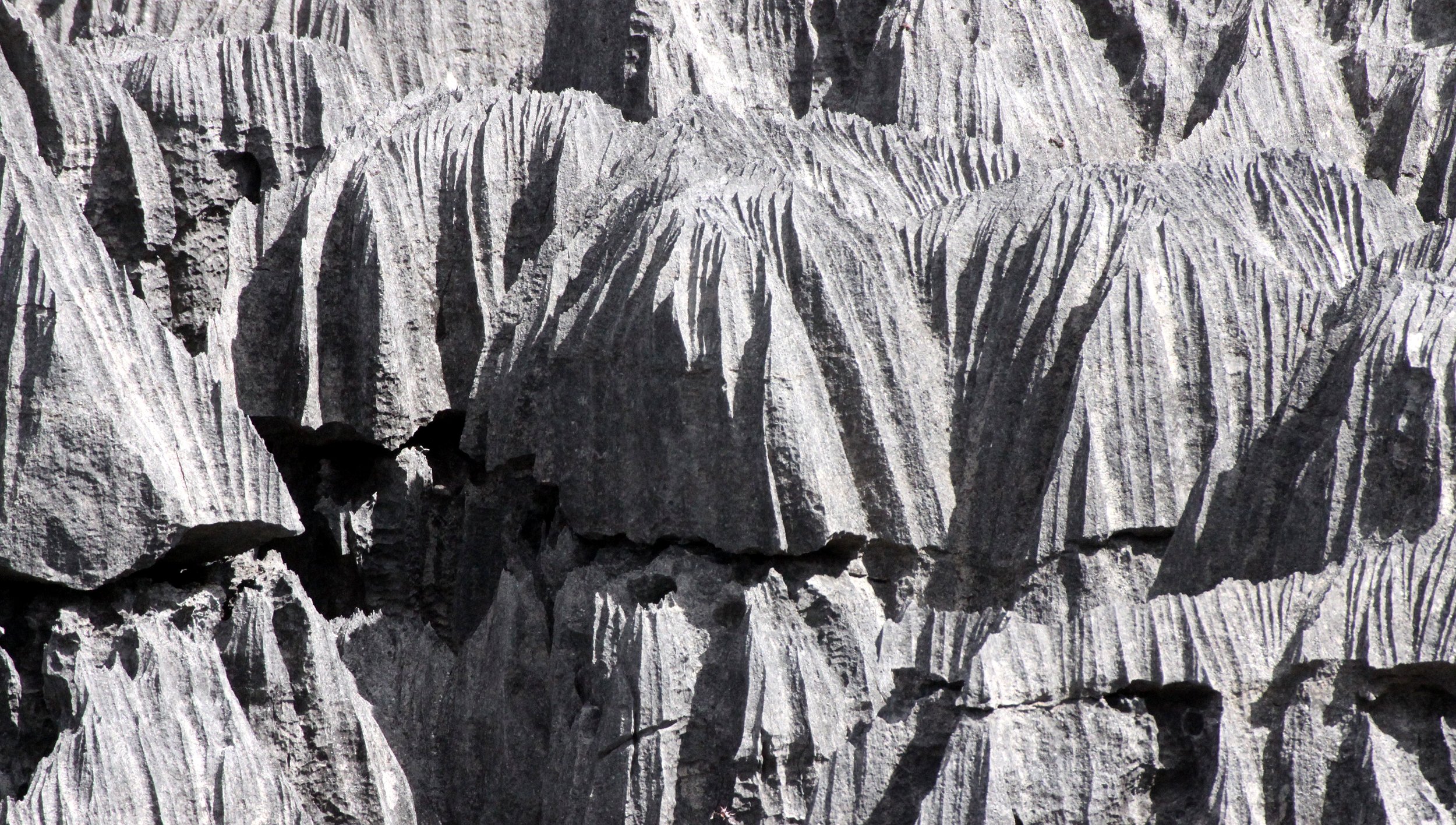 ANKARANA NATIONAL PARK MADAGASCAR - TSINGY FOREST (48).JPG