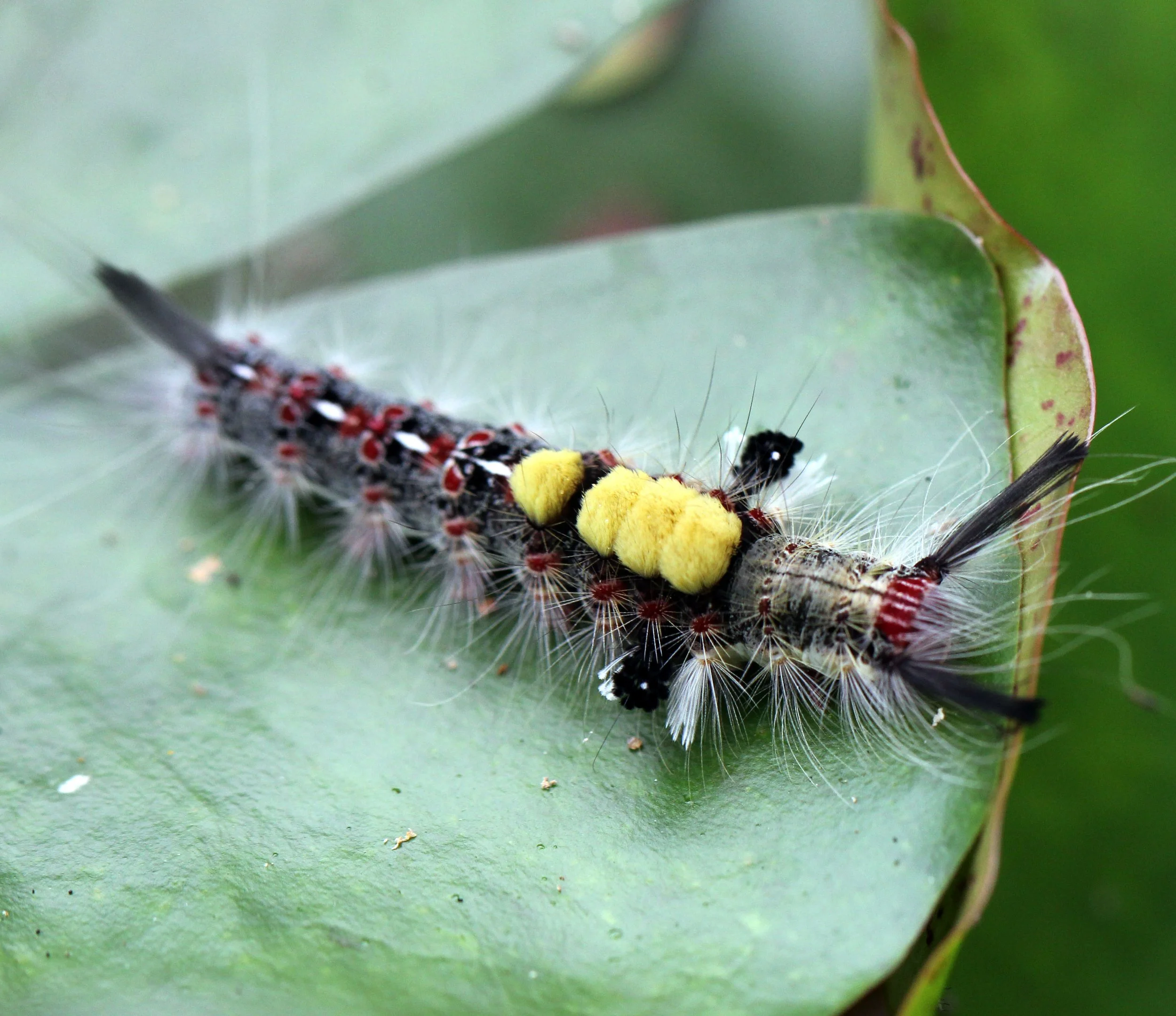 2013 Cha'am and Petchaburi with Family & Friends (17).jpg