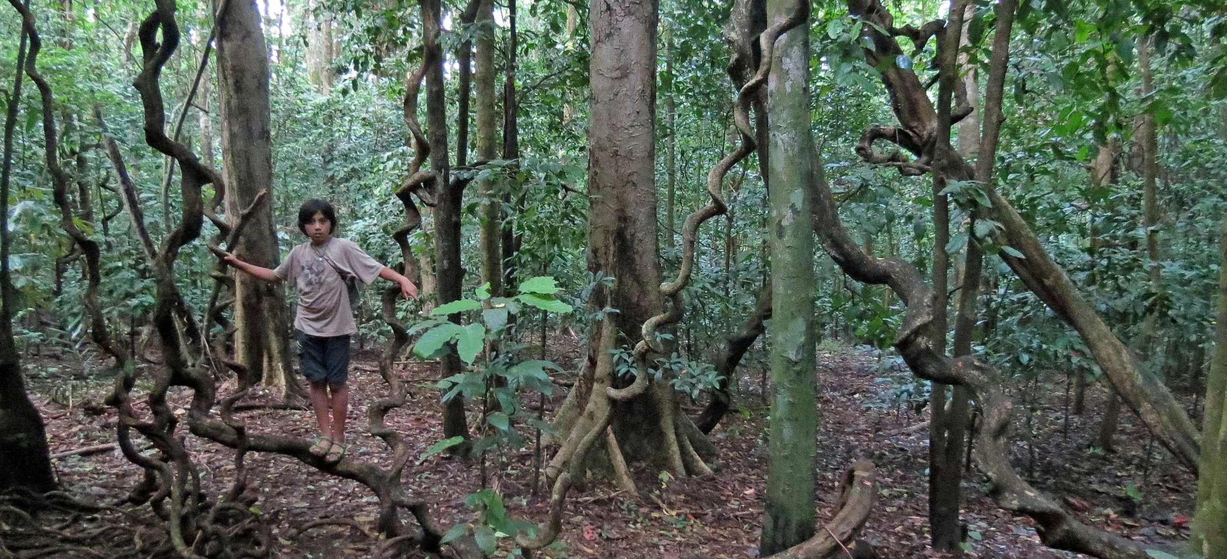 TANGKOKO NATIONAL PARK SULAWESI INDONESIA (97).JPG
